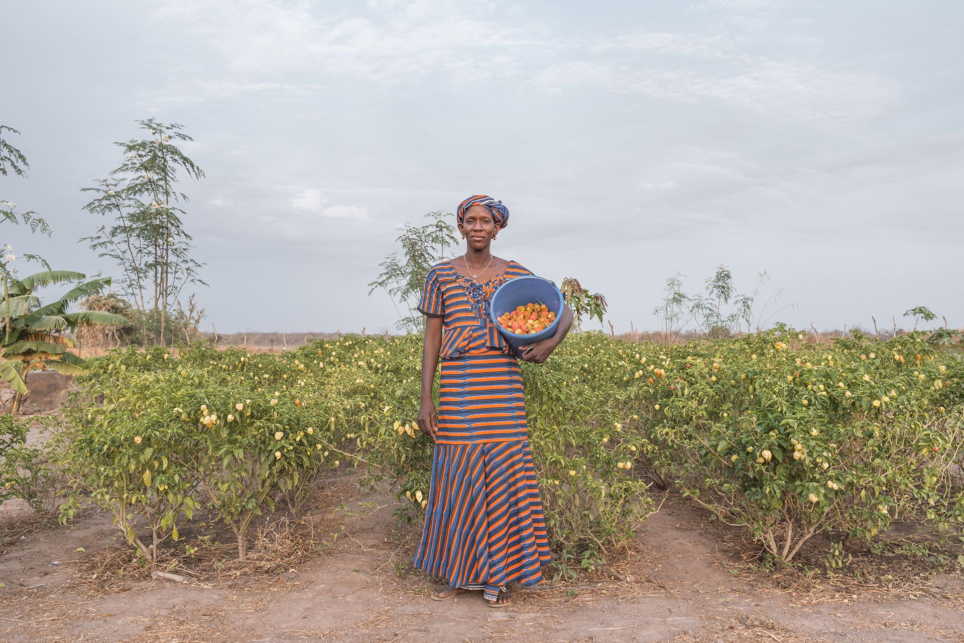 A photograph by Giovanni H√§nninen, titled Picker, dated 2017.