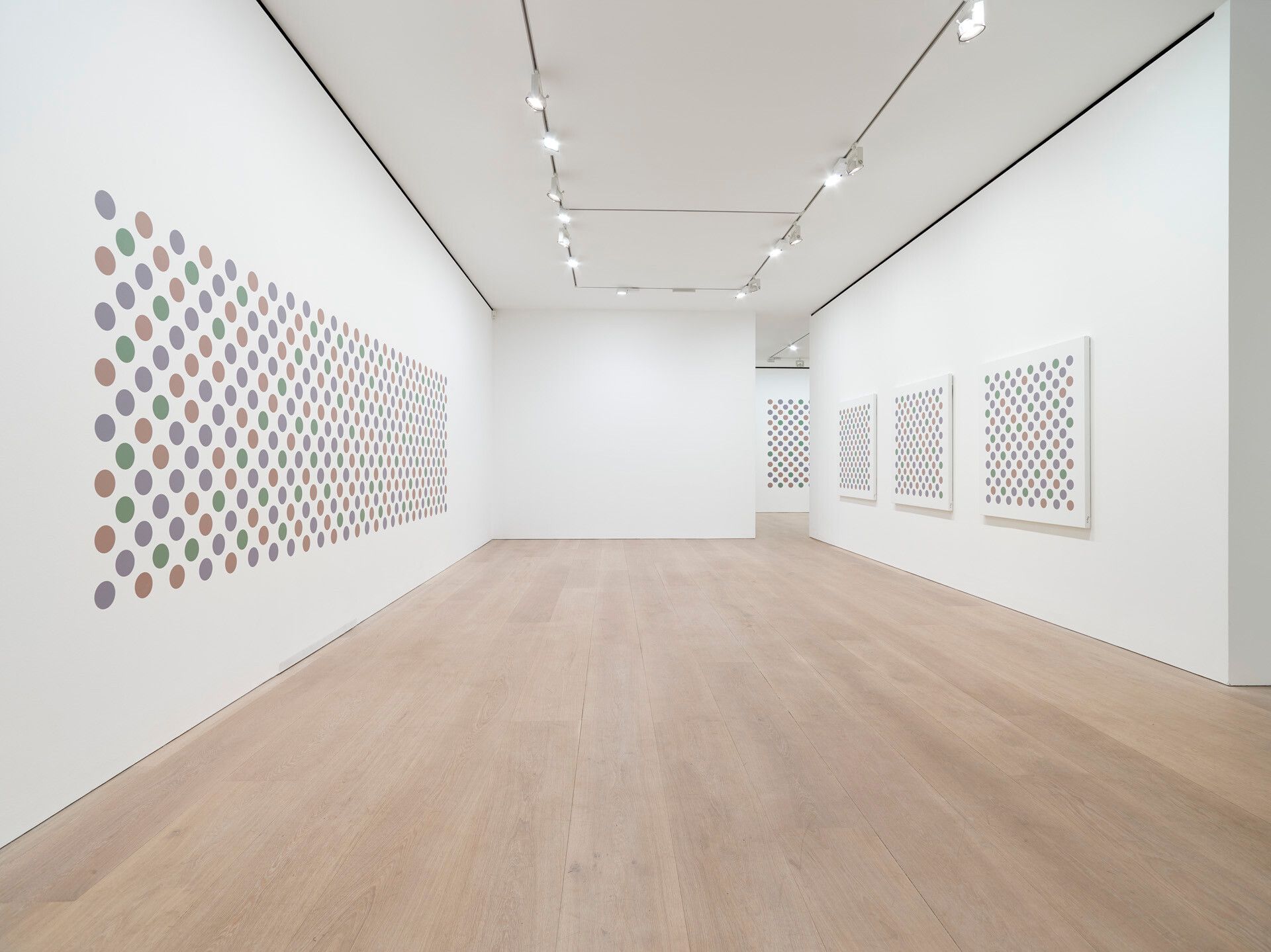 Installation view of the exhibition Bridget Riley: Recent Paintings, at David Zwirner in New York, dated 2018.
