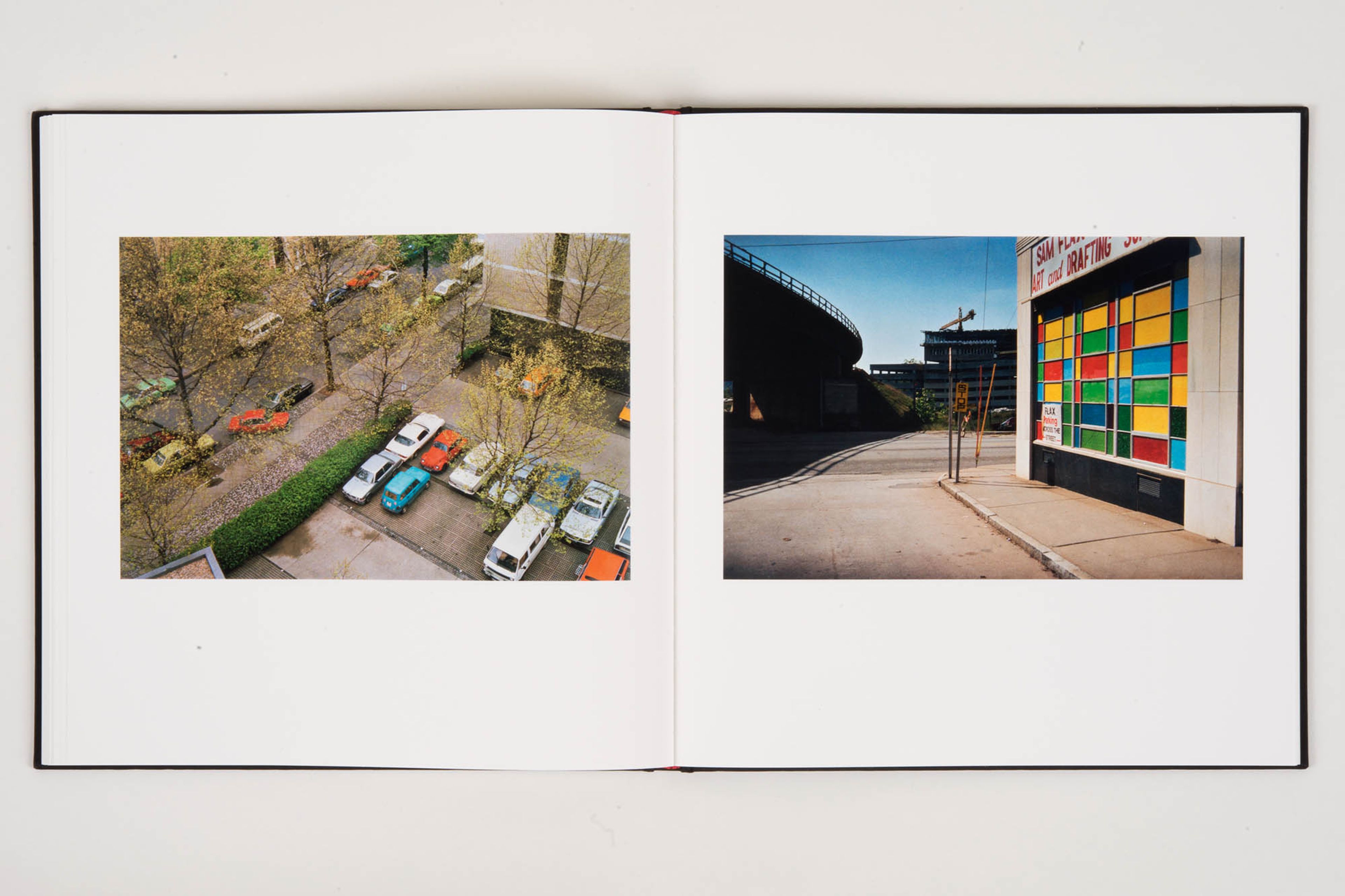 Spread from a book titled The Democratic Forest, Selected Works, published by David Zwirner Books and Steidl in 2016.