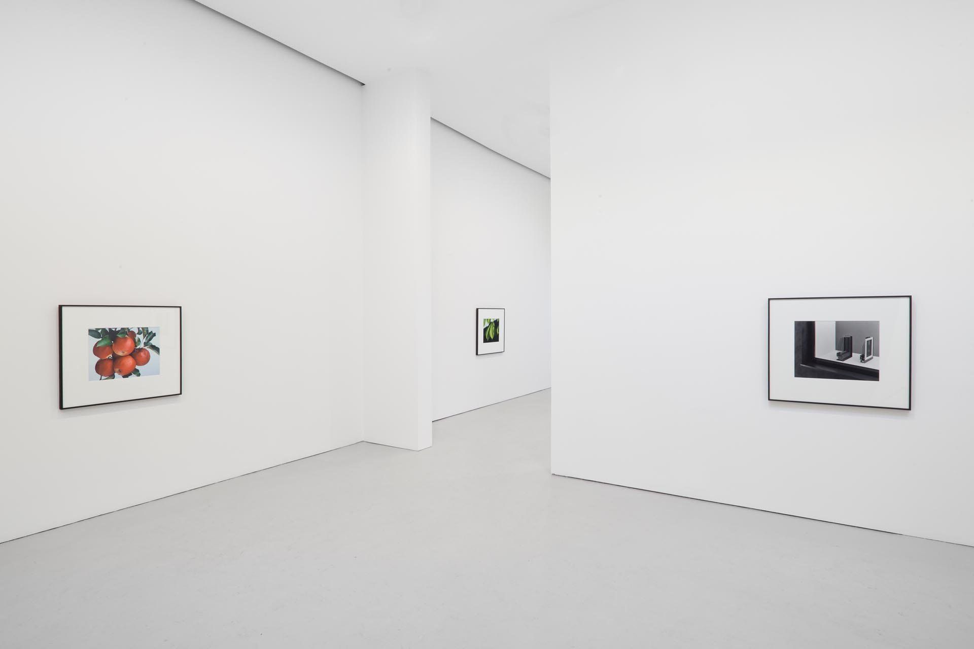 Installation view of the exhibition Christopher Williams For Example: Dix-Huit Leçons Sur La Société Industrielle (Revision 12), at David Zwirner in New York, dated 2011.