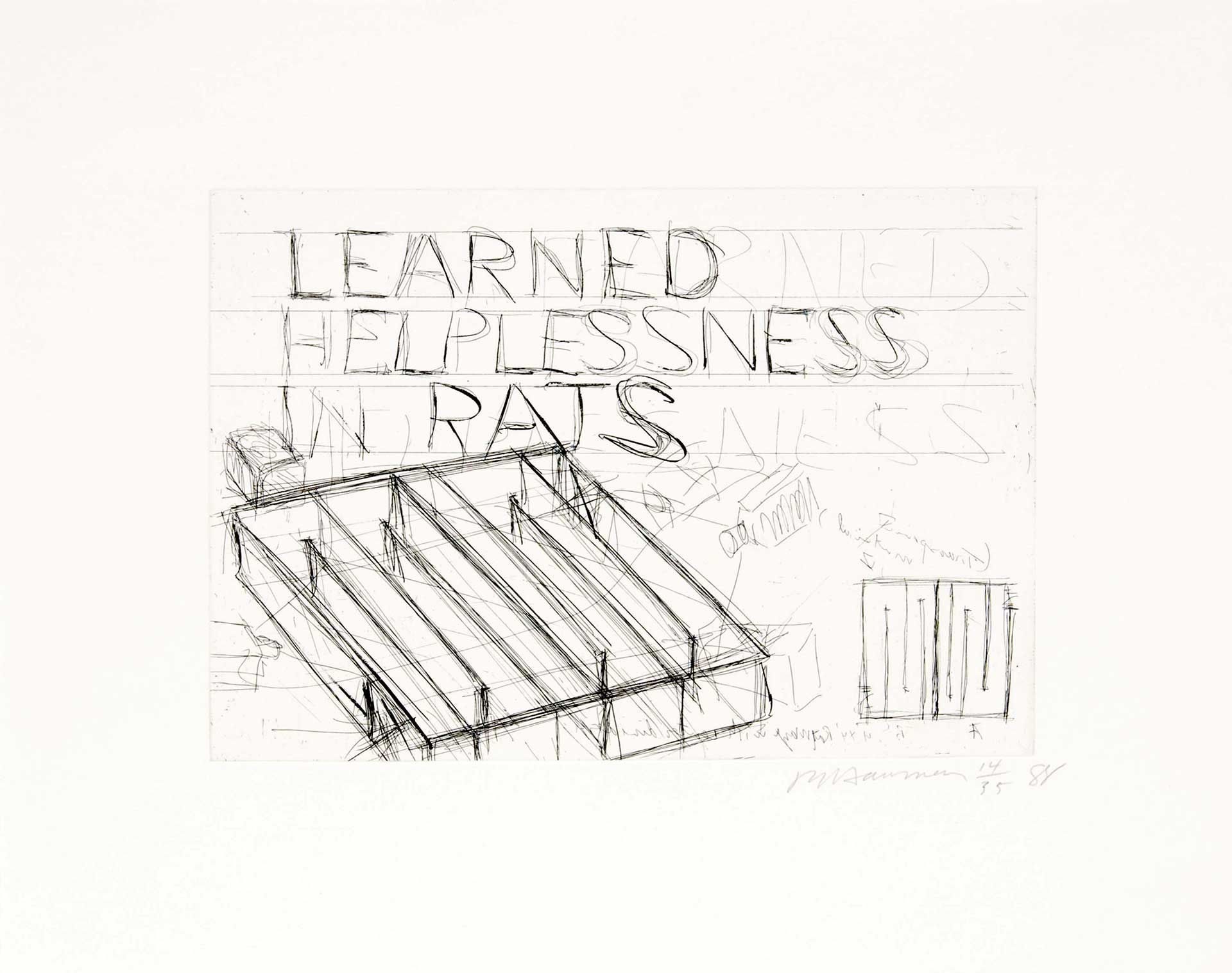 A work on paper by Bruce Nauman titled Learned Helplessness In Rats, dated 1988