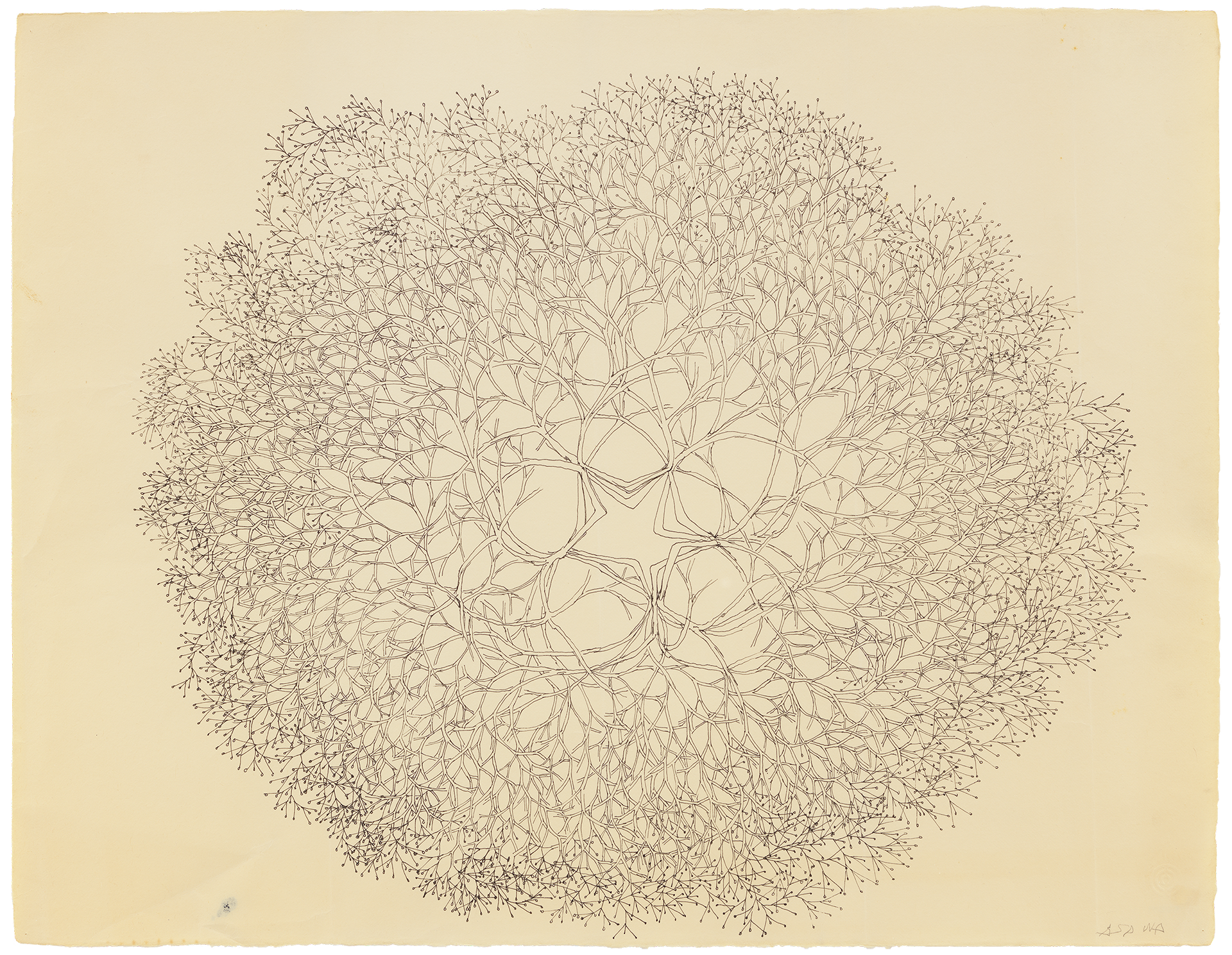 A drawing by Ruth Asawa, titled Untitled (SD.019, Tied wire sculpture drawing with five point star center and drops at the ends), undated.
