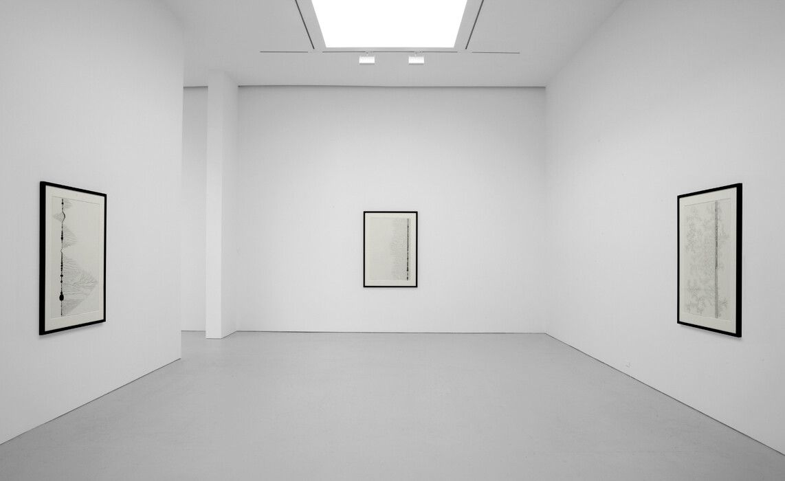 Installation view of the exhibition Chris Ofili: Afro Margin, at David Zwirner in New York, dated 2009.