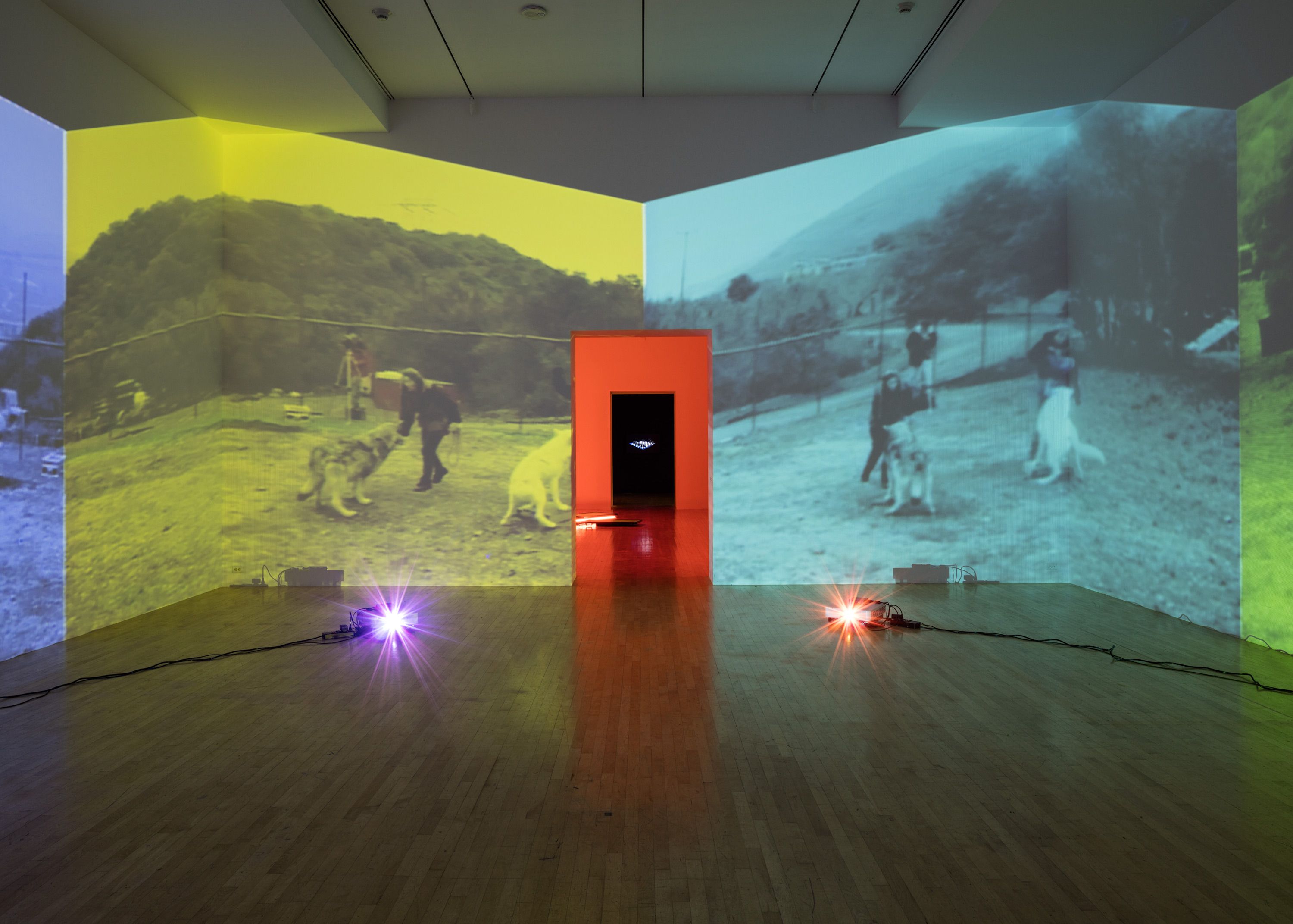 Installation view, Diana Thater: The Sympathetic Imagination, Los Angeles County Museum of Art, 2015. Photo by Fredrik Nilsen Studio