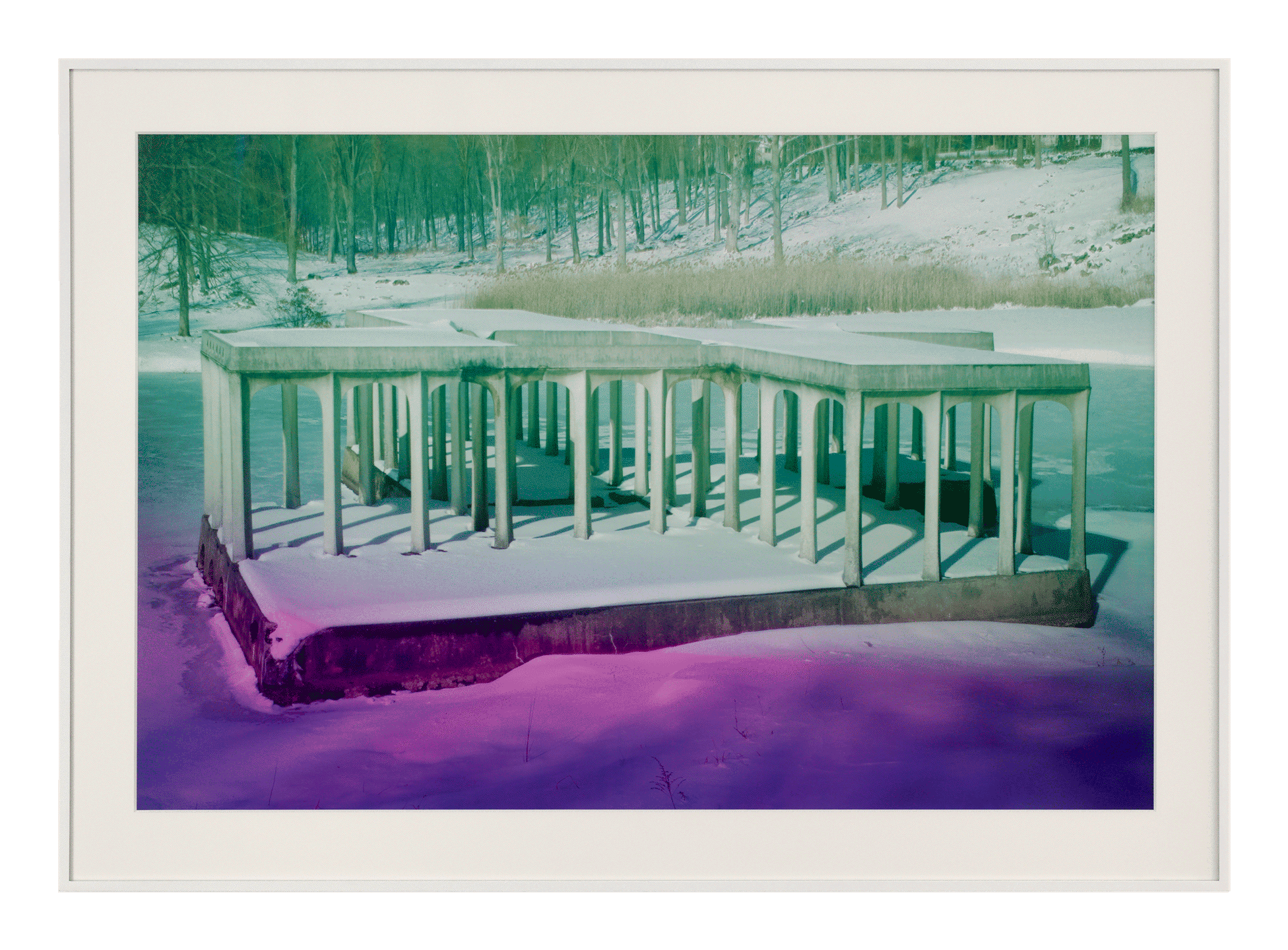 An inkjet print by James Welling, titled 0699, dated 2009.