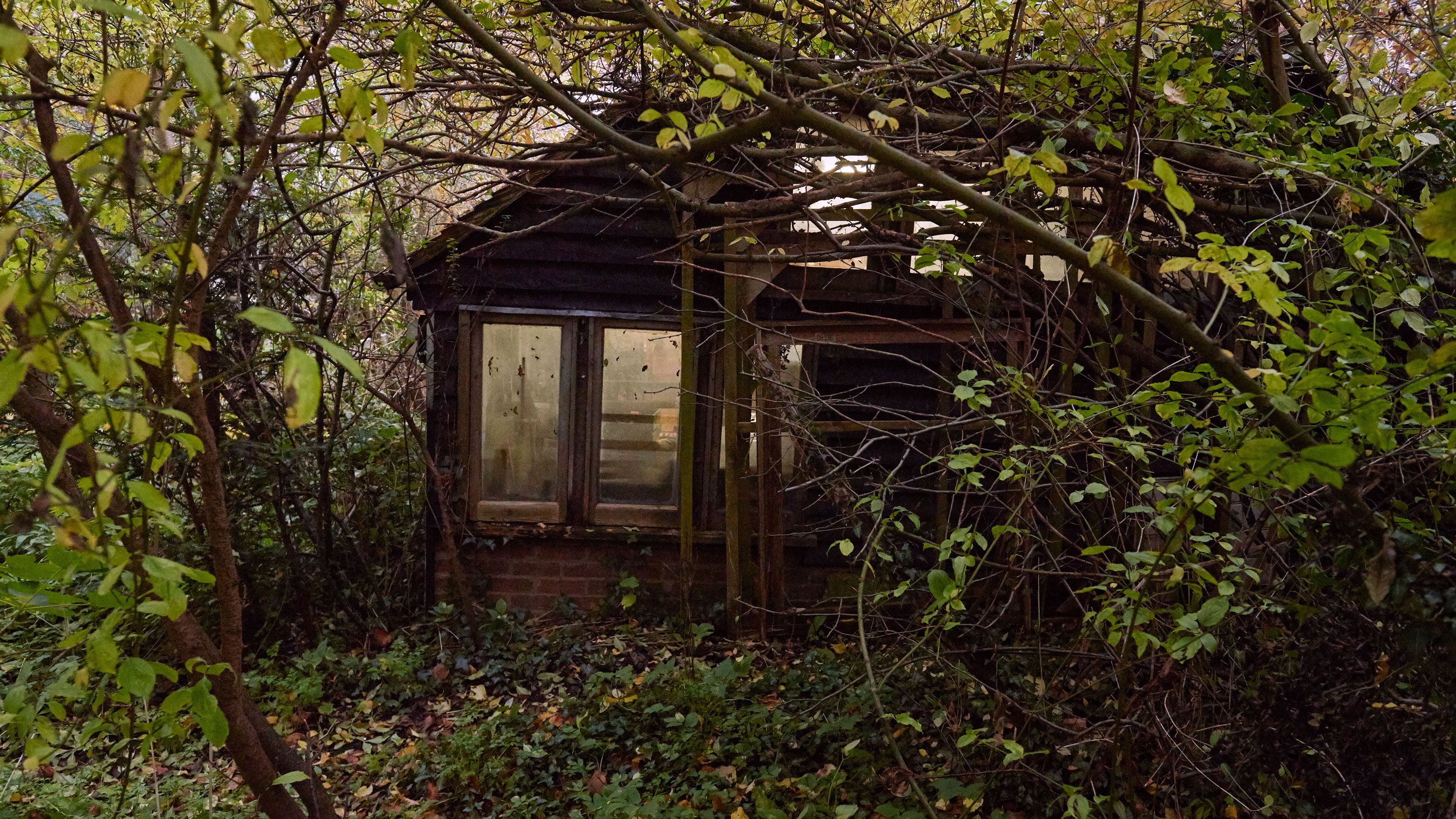 A photo of the exterior view of Rose Wylie’s studio, dated 2019.