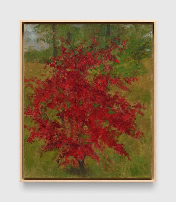 Merrill Wagner — Untitled (#16)