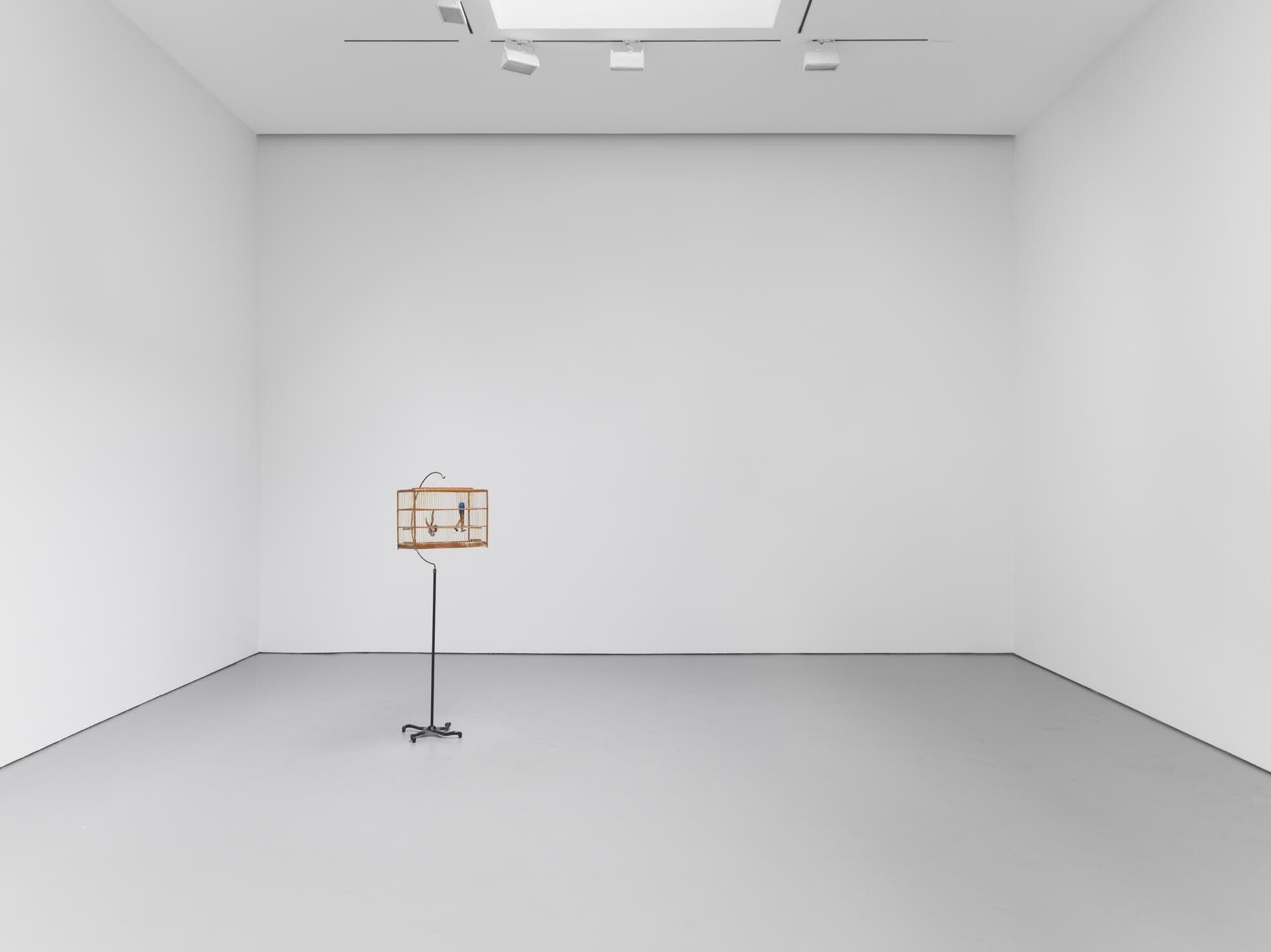 An installation view of the Chris Ofilio exhibition Paradise Lost, at David Zwirner New York, dated 2017.