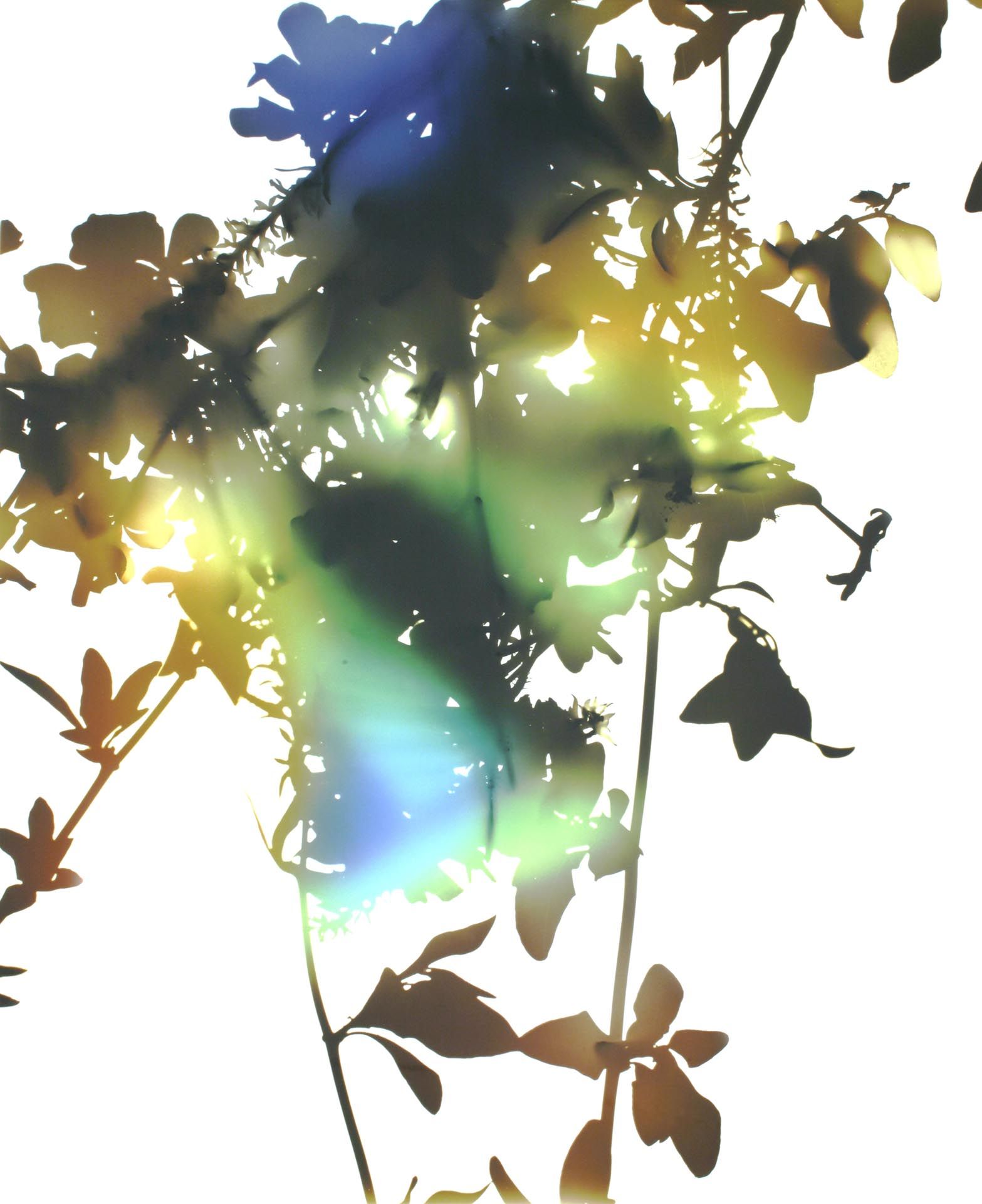 A photograph by James Welling, titled 012, dated 2006. 