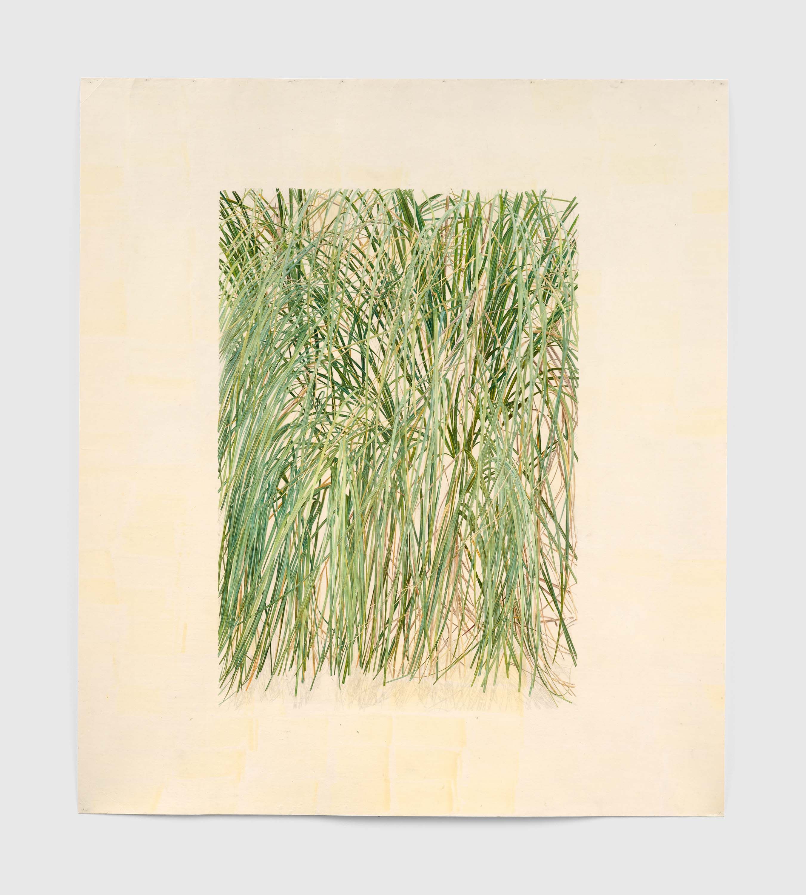 An untitled work on paper by Toba Khedoori, 2019 to 2020.