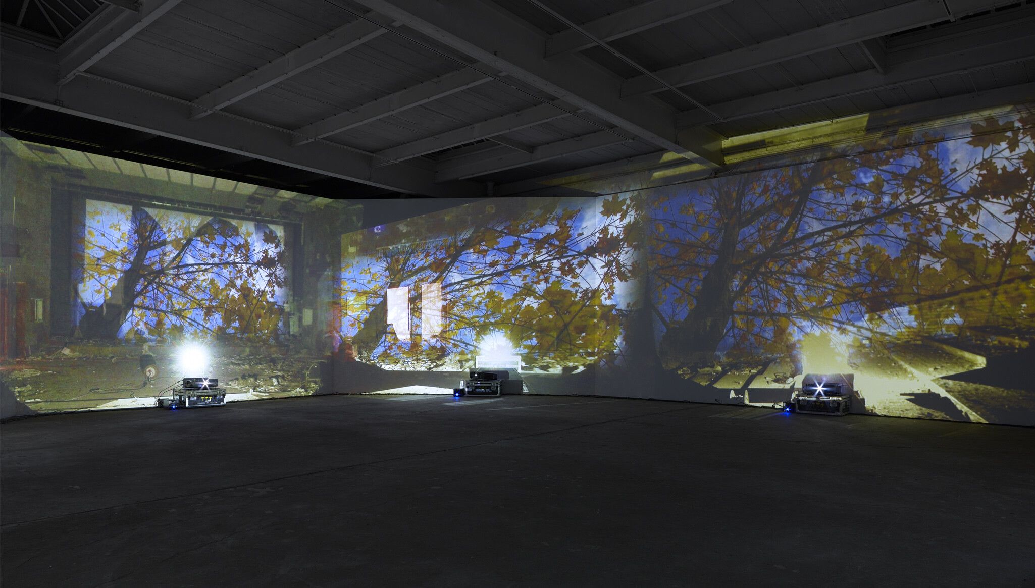 Installation view of Diana Thater's exhibition "Practical Effects," at David Zwirner in New York