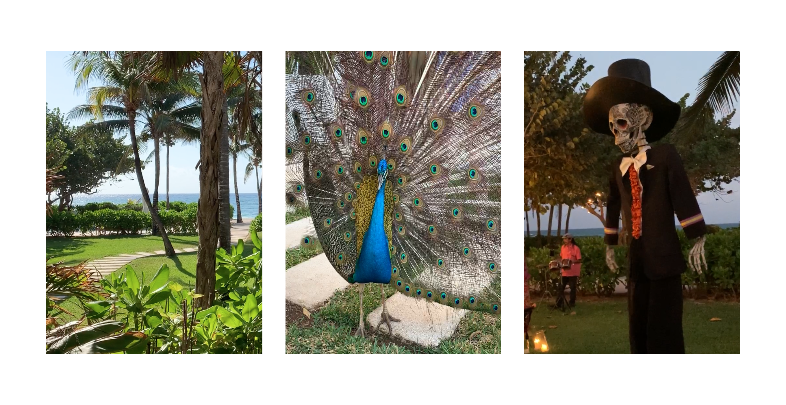 A triptych featuring travel photographs by Marcel Dzama, dated 2018-20