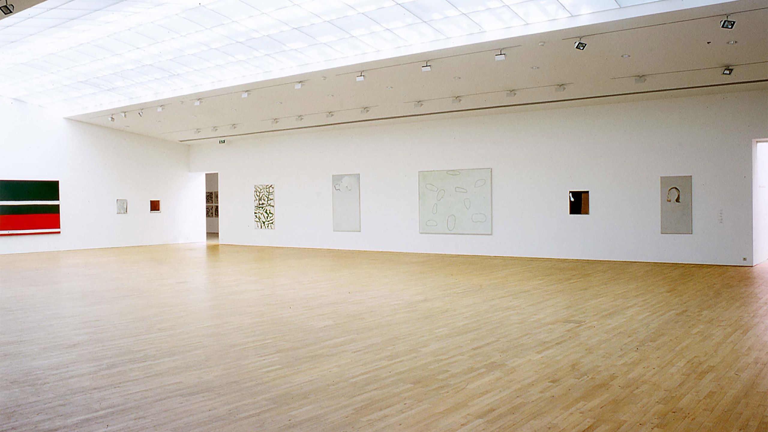 An Installation view, Raoul De Keyser, Luc Tuymans, S.M.A.K., Stedelijk Museum voor Actuele Kunst, Ghent, dated 2001. A Photo by Dirk Pauwels