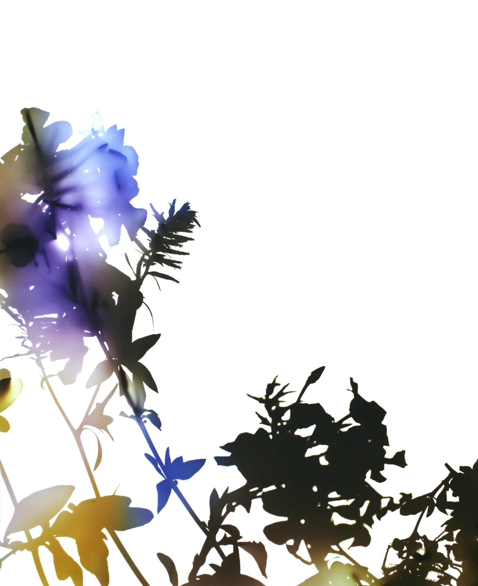 A photograph by James Welling, titled 016, dated 2006. 