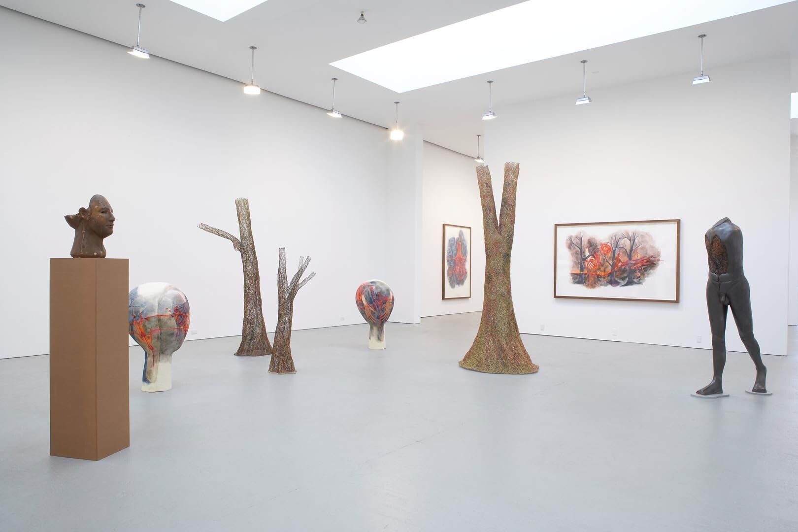 Installation view of the exhibition Katy Schimert, at David Zwirner in New York, dated 2006.