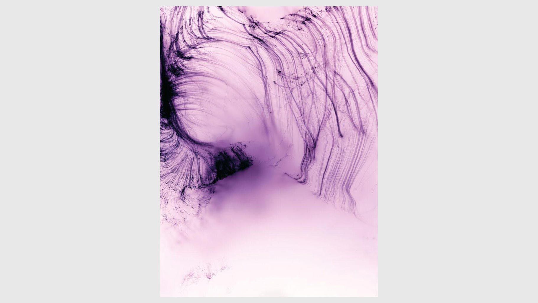アート・デザイン・音楽 Wolfgang Tillmans Abstract Pictures