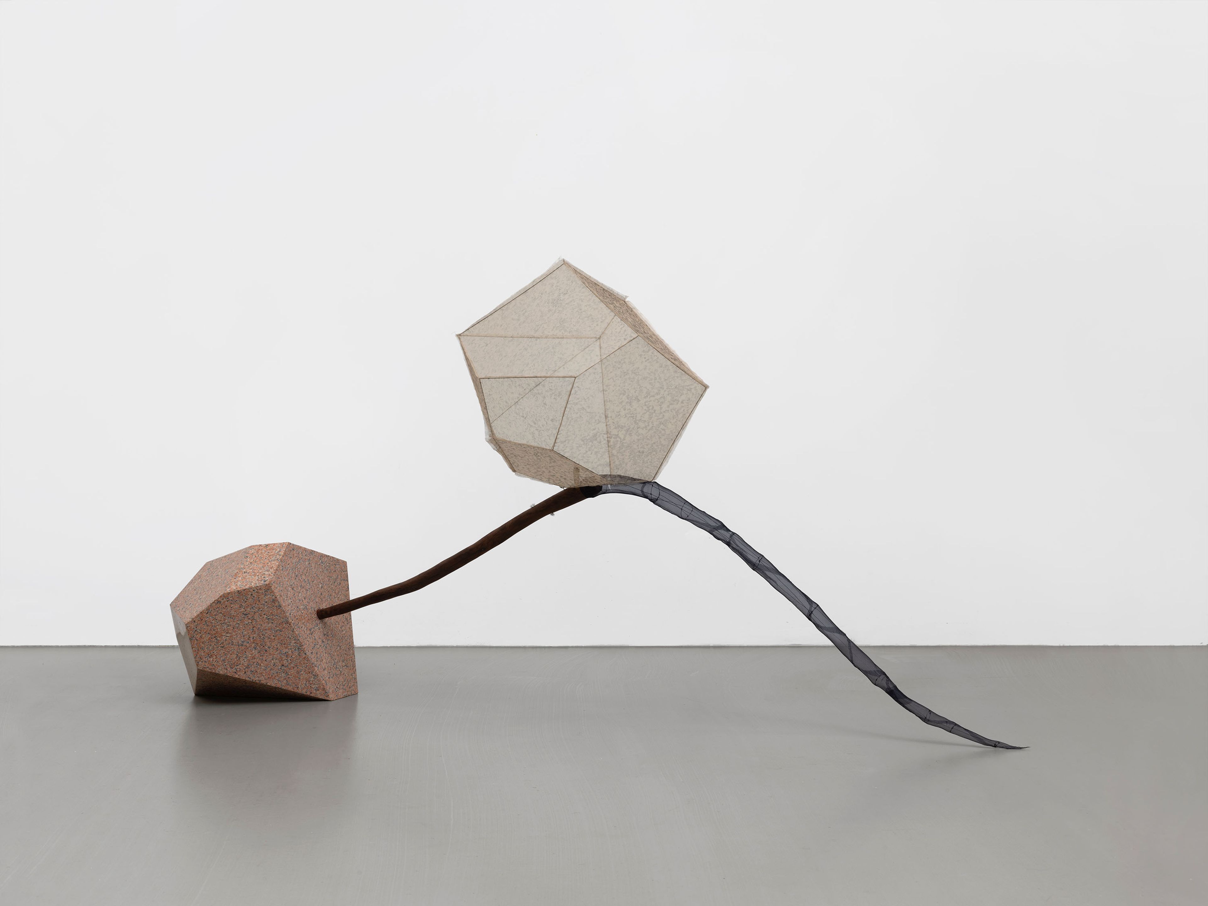 A sculpture by Hu Xiaoyuan, titled Carpel III, dated 2025.