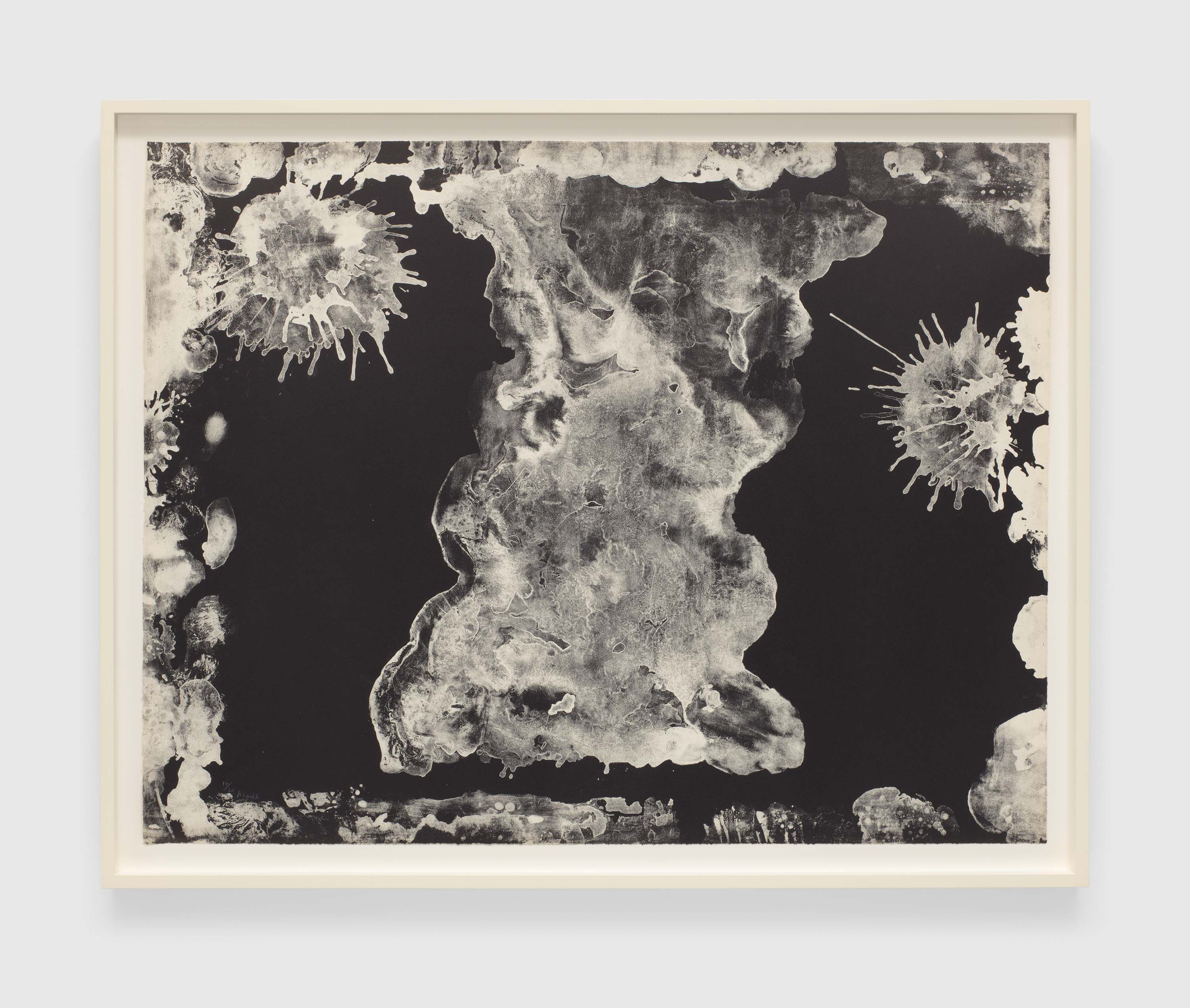 A print by Ruth Asawa, titled Plane Tree Reversal (TAM.1470A), dated 1965.