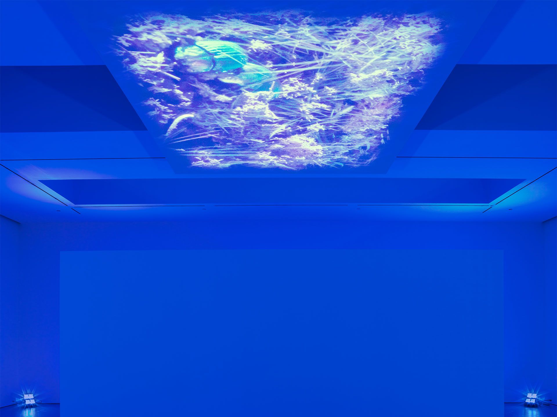 A detail from an installation by Diana Thater, titled Science, Fiction, dated 2014.