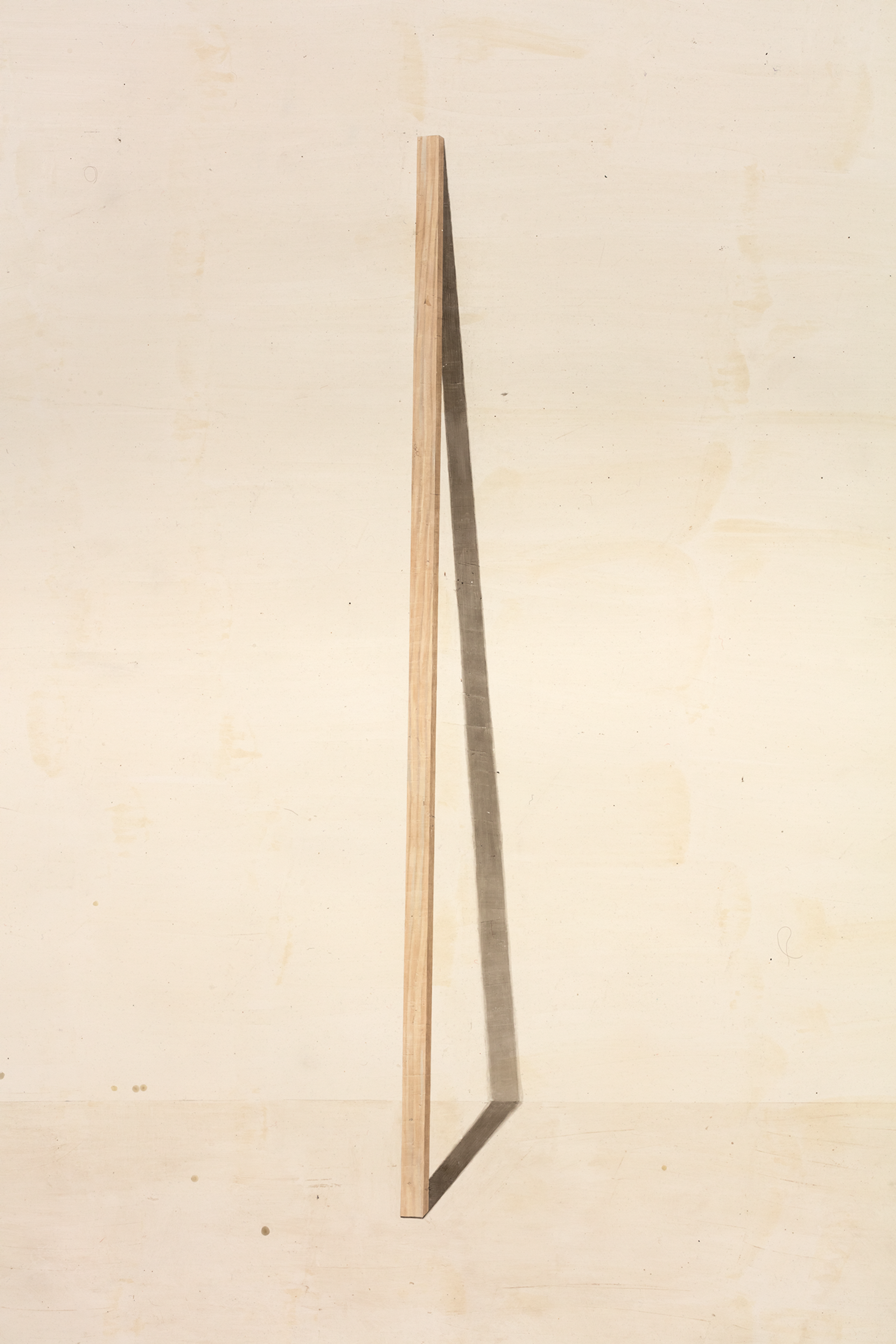 An oil and wax work on paper by Toba Khedoori, titled Untitled (stick), dated 2005.