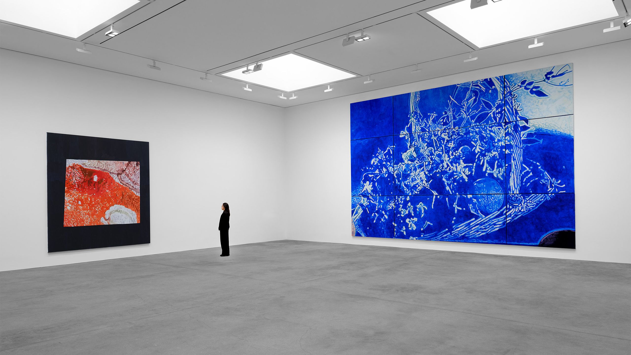 Luc Tuymans: The Fruit Basket | Los Angeles | February 24—April 4