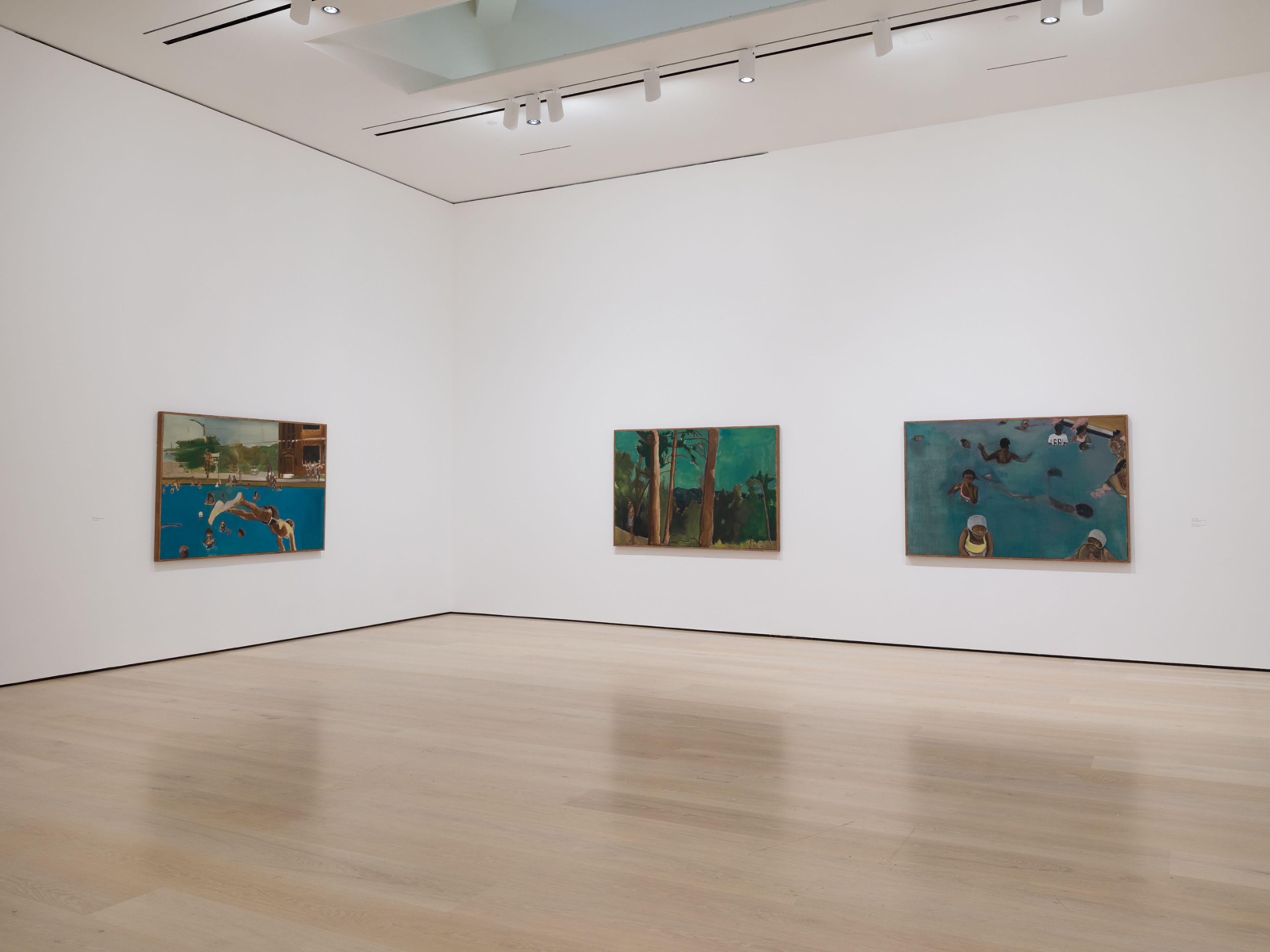Installation view of the exhibition Noah Davis Marshall at the Hammer Museum in Los Angeles, dated 2025