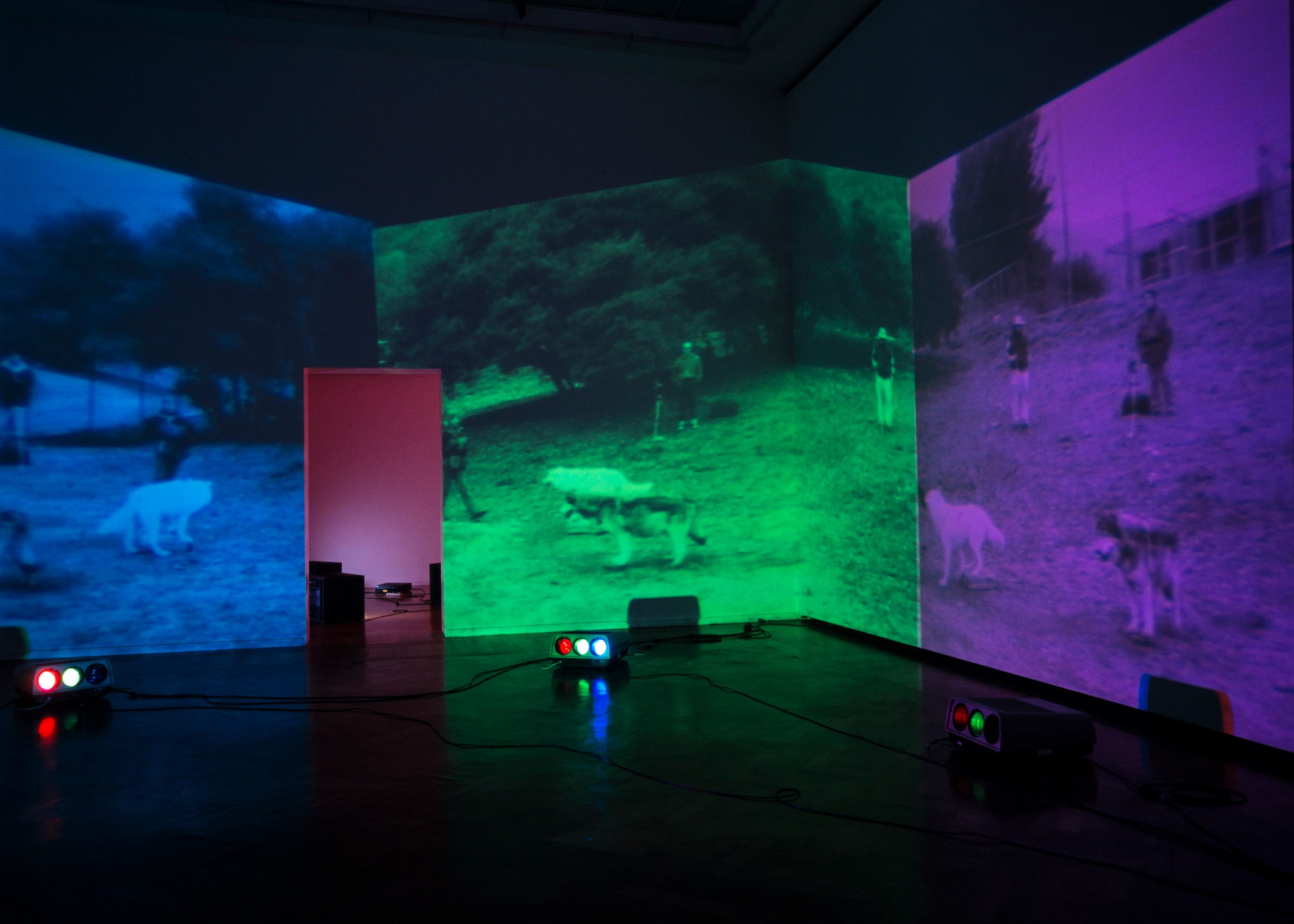 Installation view, Diana Thater: Selected Works 1992–1996, Kunsthalle Basel, 1996. Photo by Mancia/Bodmer, Zürich