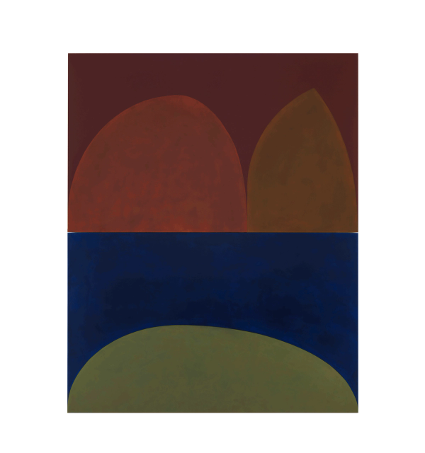 Suzan Frecon — book of paint