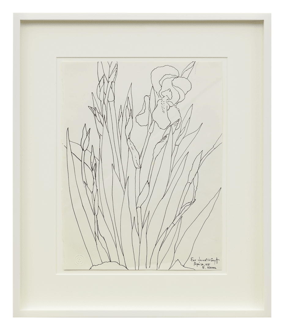 A pen and ink drawing on paper by Ruth Asawa, titled Untitled (PF.1112, Irises), dated 1975.