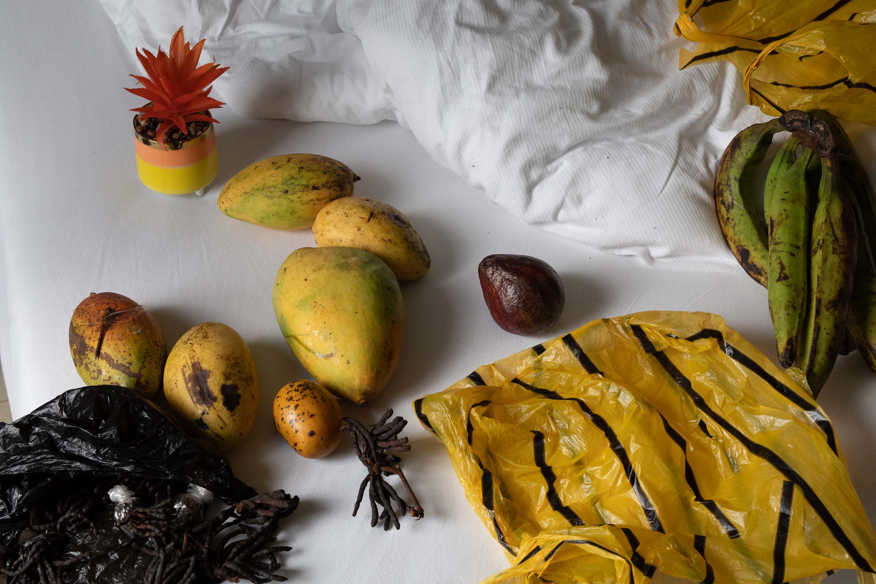 A photograph by Wolfgang Tillmans Lagos, titled still life II, dated 2022.