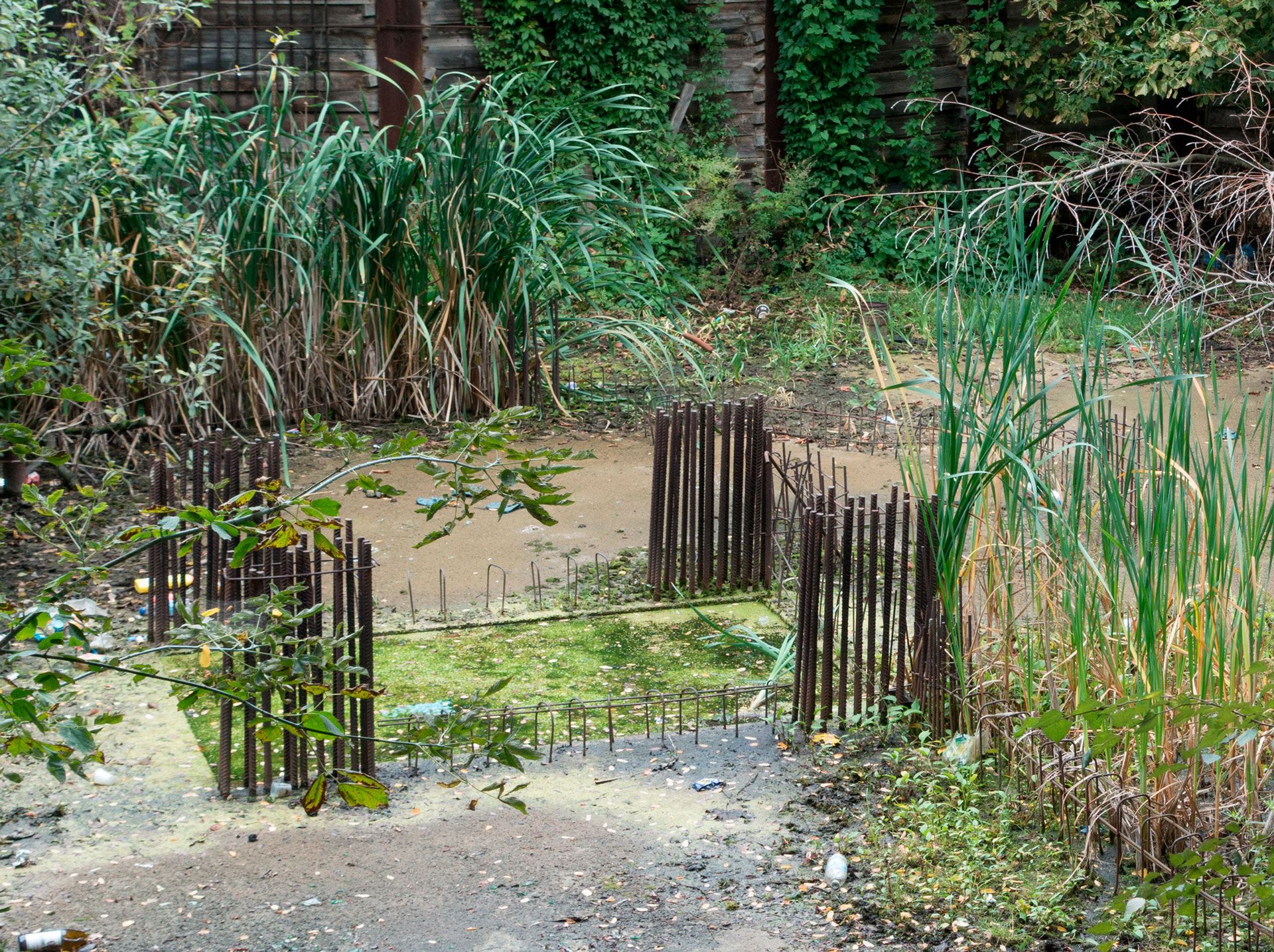 A detail of a photograph by Wolfgang Tillmans, titled Adalbert Garden, dated 2014