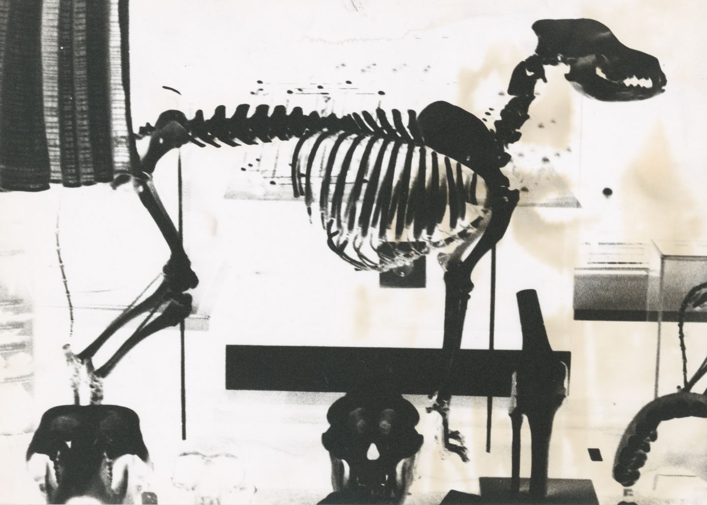 Sigmar Polke: Photographs 70-80 | David Zwirner