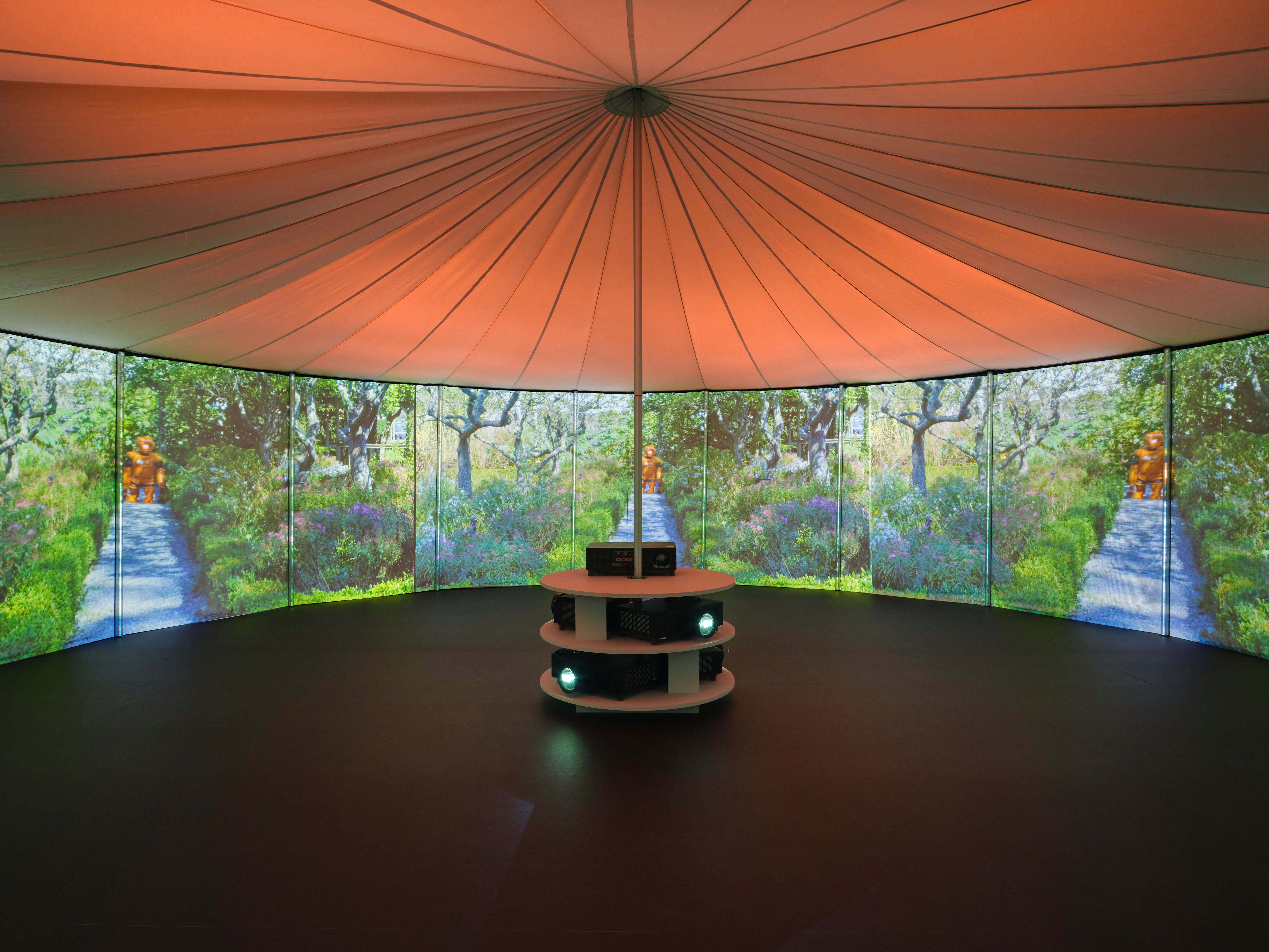 Evidence　Diana Martar　ダイアナ・マーター Diana Thater: Practical Effects | David Zwirner