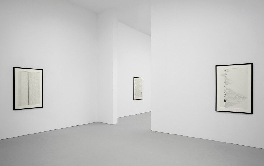 Installation view of the exhibition Chris Ofili: Afro Margin, at David Zwirner in New York, dated 2009.
