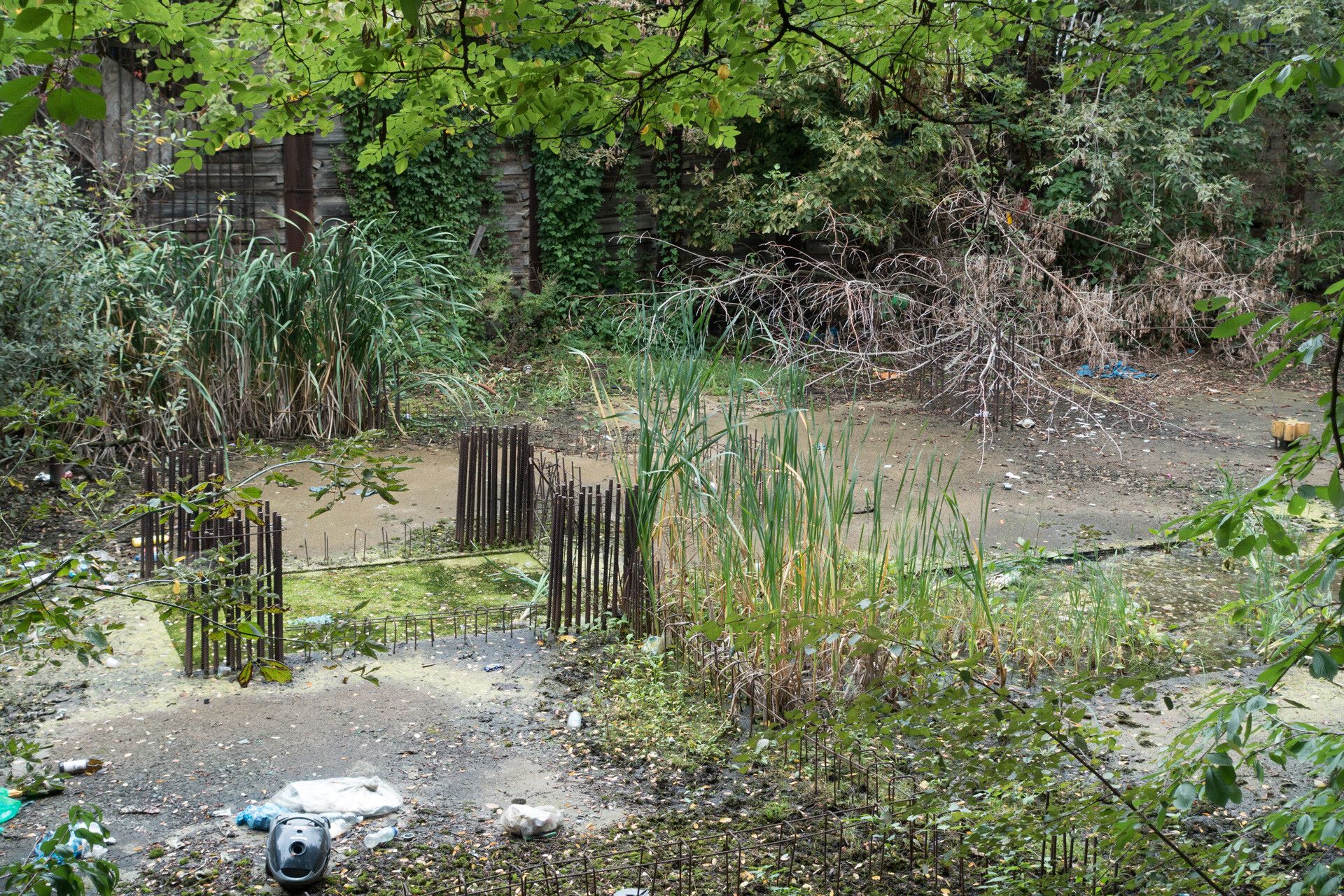 A photograph by Wolfgang Tillmans, titled Adalbert Garden, dated 2014