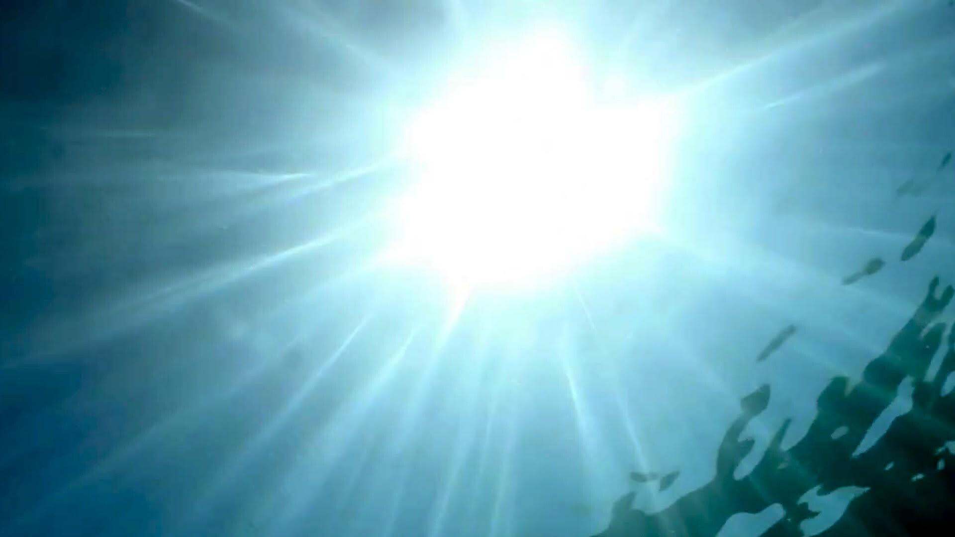 A still from a video by Diana Thater titled, Yes there will be singing.