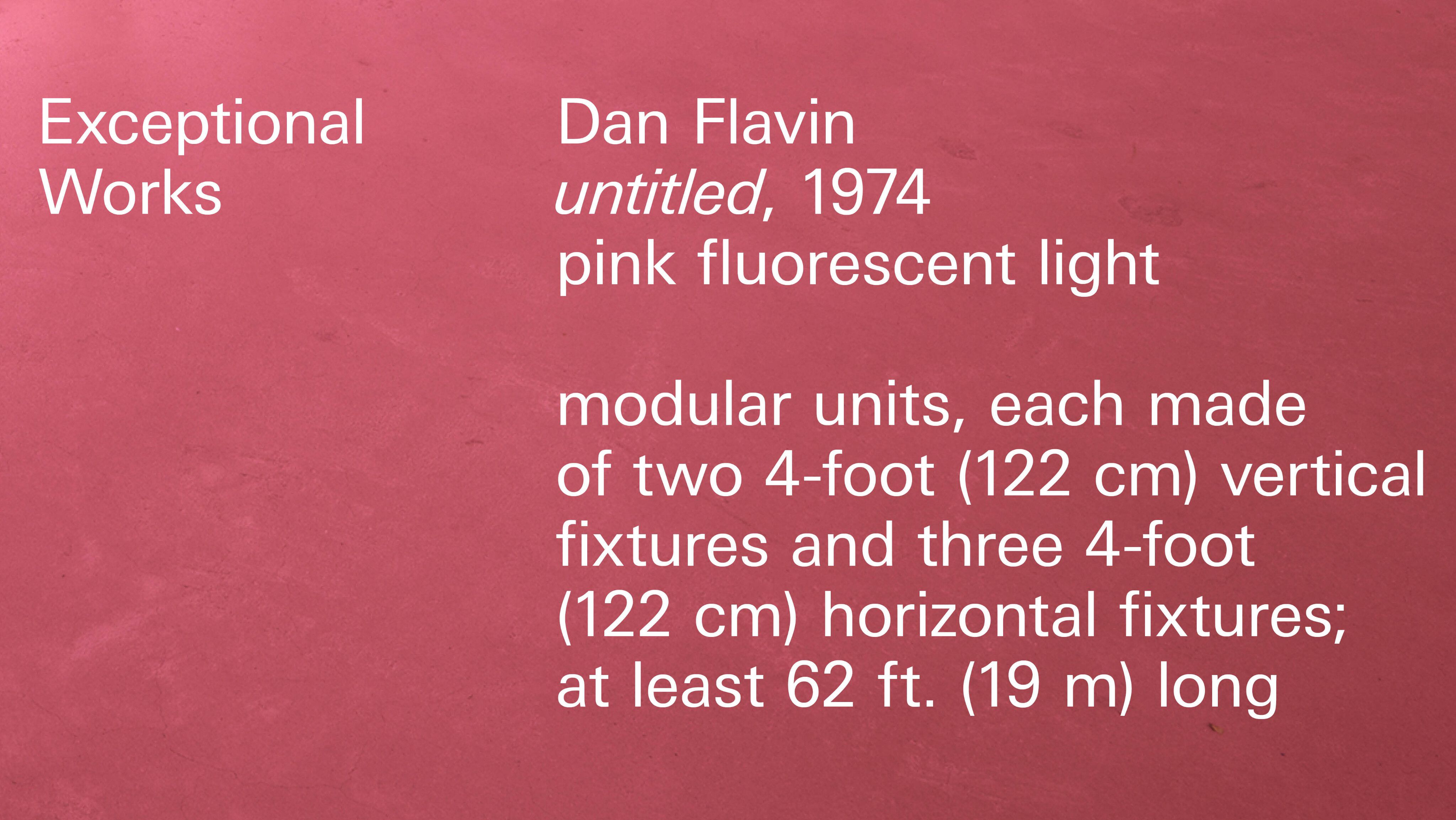 Title card for Exceptional Works Dan Flavin 