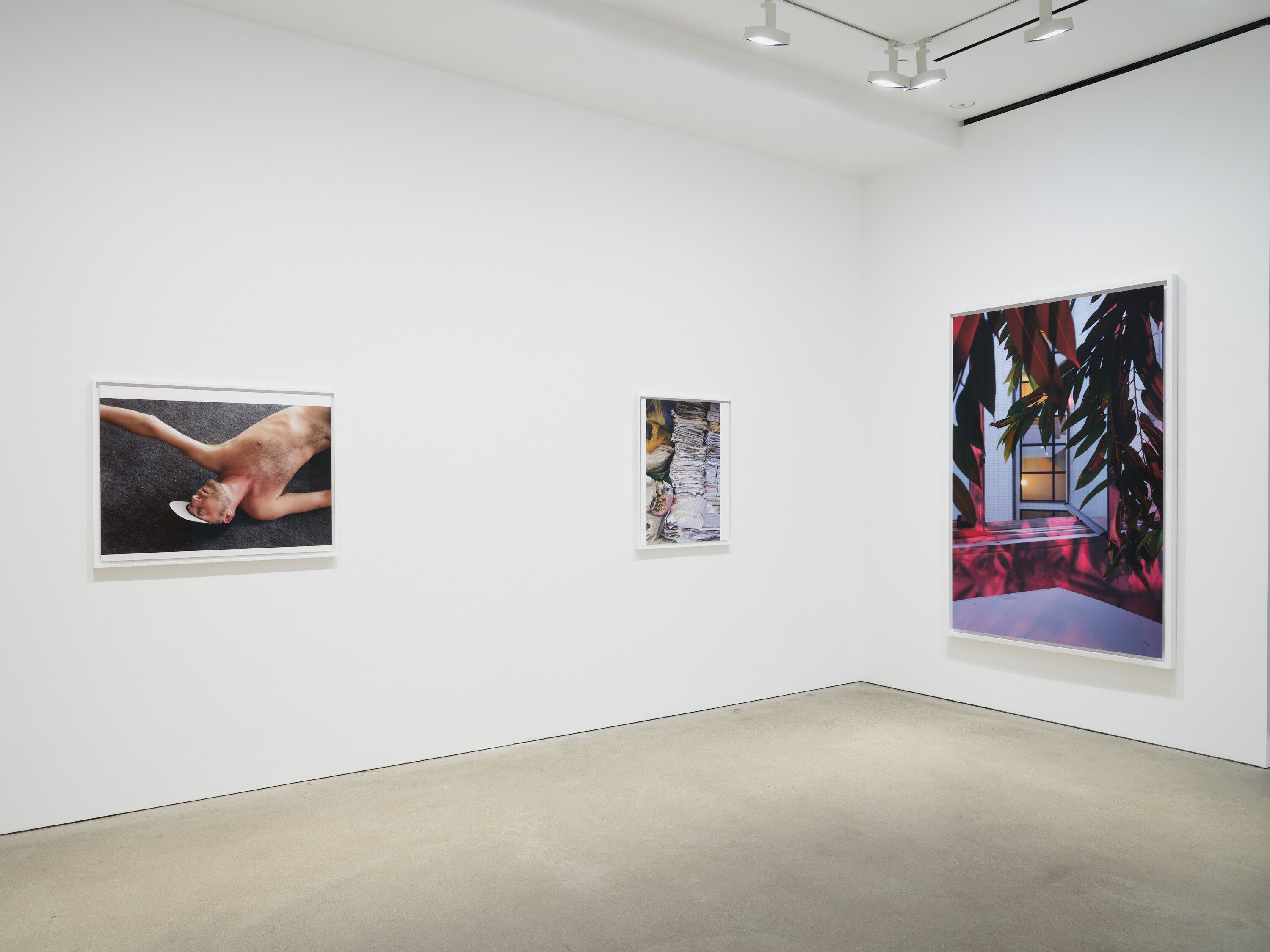 An installation view of the exhibition, Wolfgang Tillmans: The Point Is Matter, at David Zwirner in Hong Kong, dated 2024.