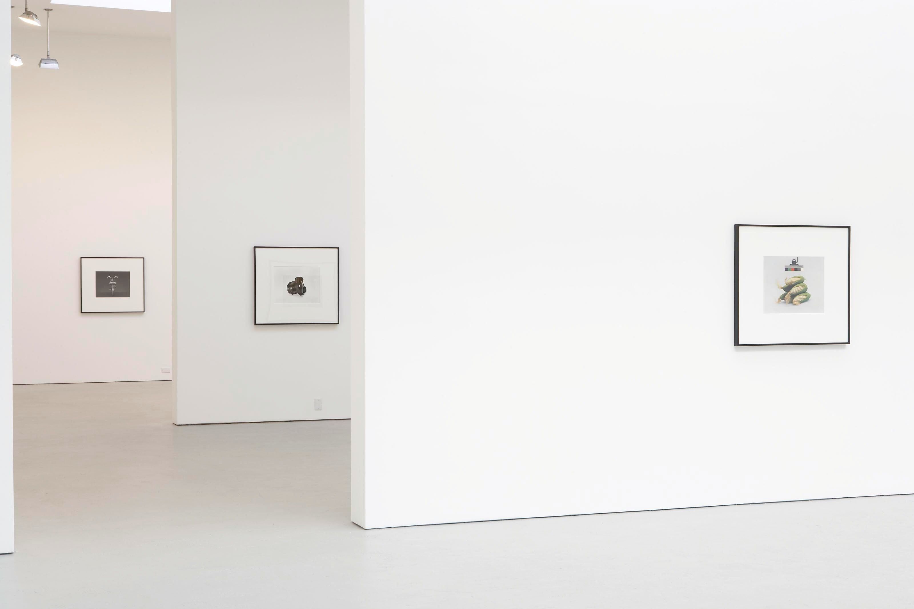 Installation view of the exhibition Christopher Williams: For Example: Dix-Huit Leçons Sur La Société Industrielle (Revision 4), at David Zwirner in New York, dated 2006.