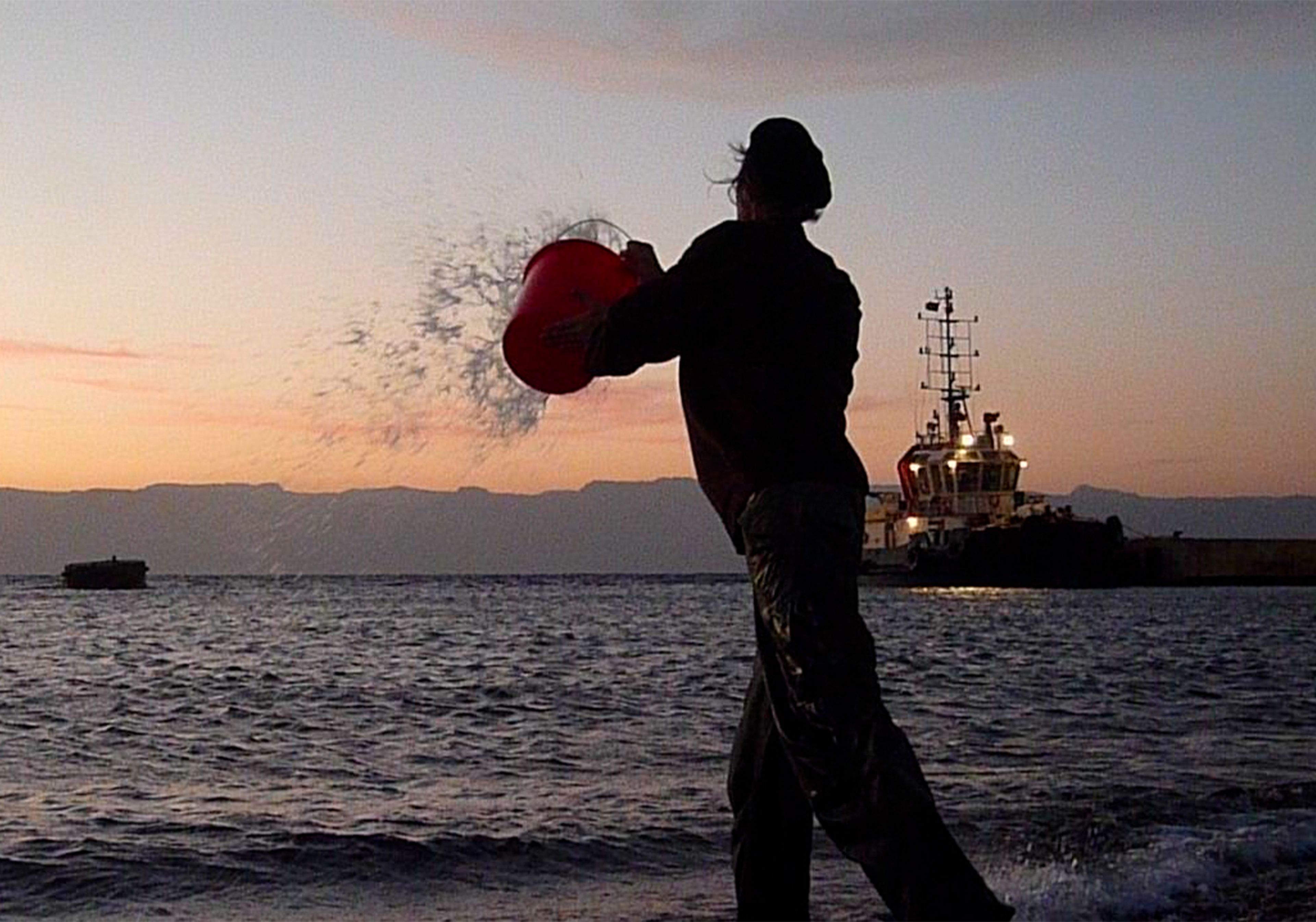 A still from a video by Francis Al√øs, titled Watercolor, dated 2010.