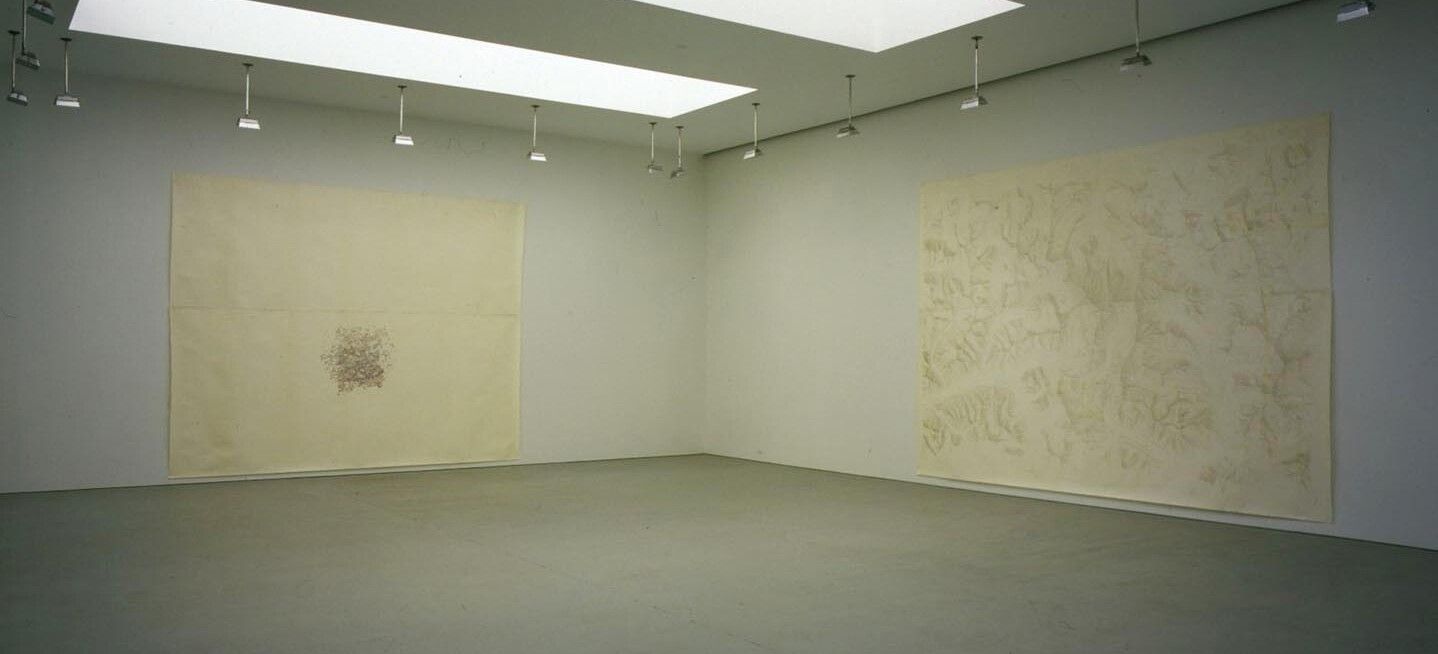 An installation view of the exhibition Toba Khedoori, at David Zwirner New York, dated 2002.