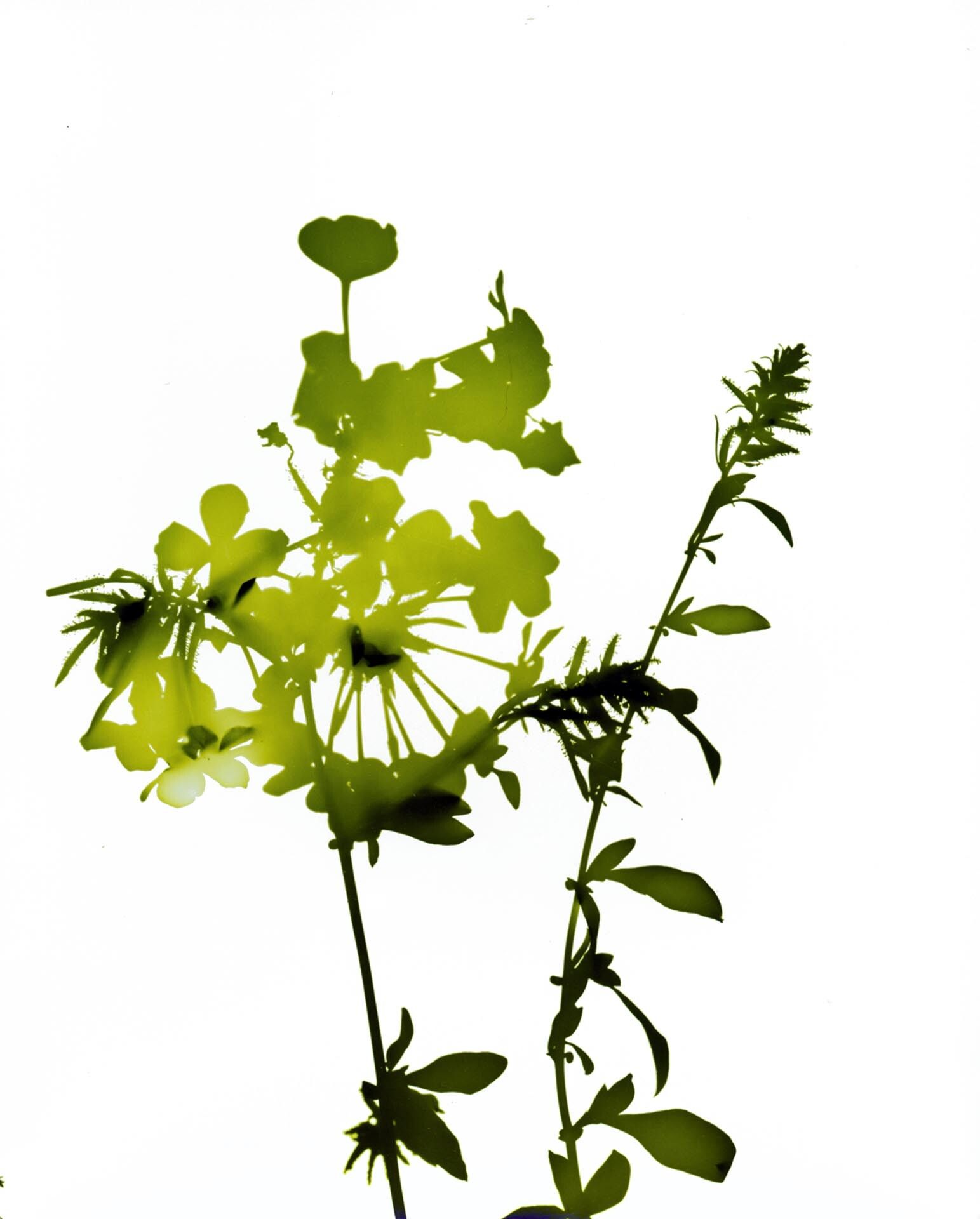 A photograph by James Welling, titled #029, dated 2004.