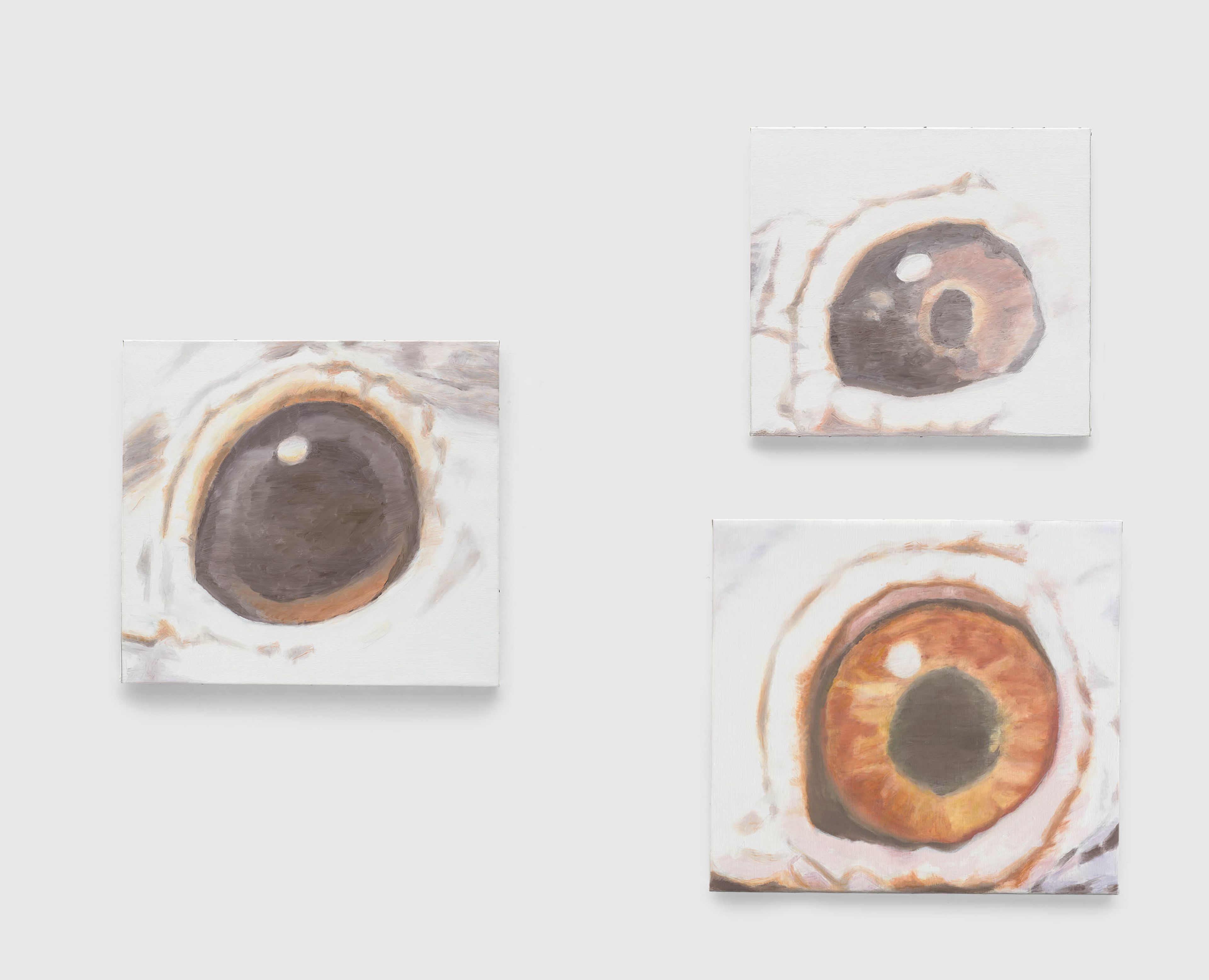 A three-part painting by Luc Tuymans, titled Eyes, dated 2001.
