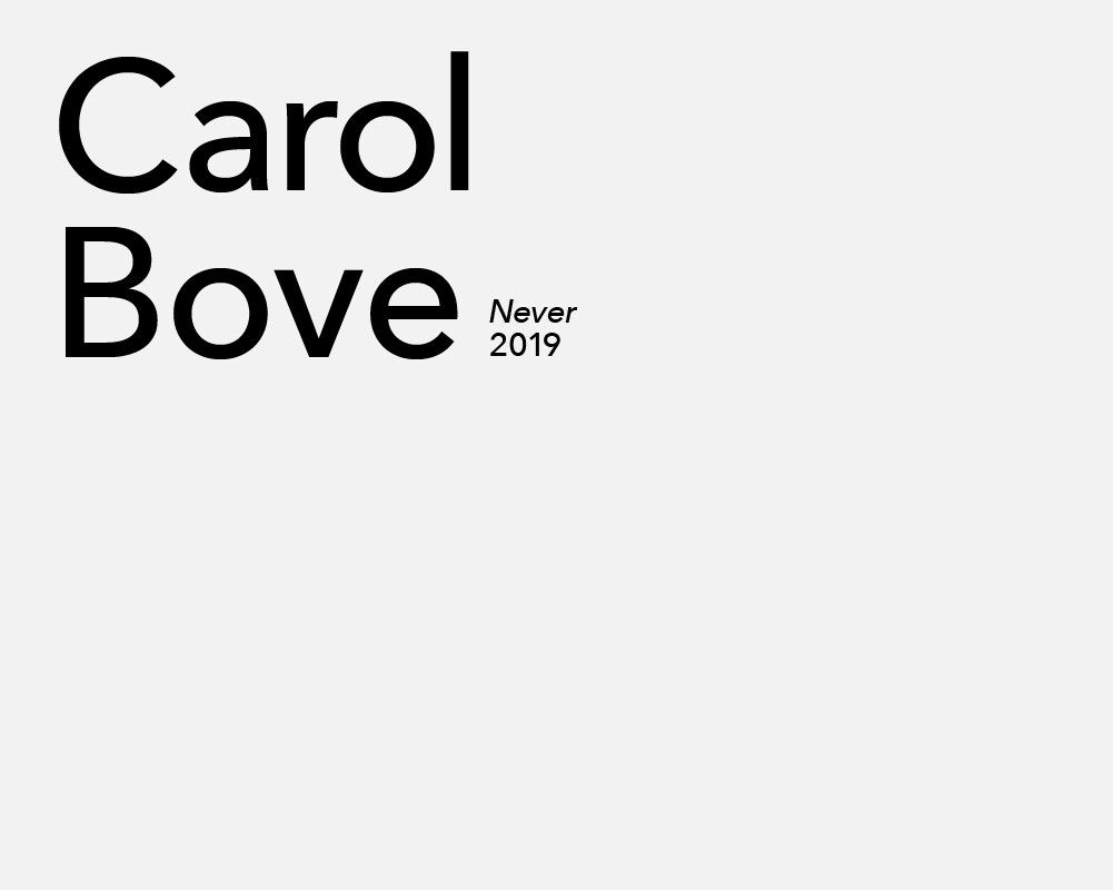 A graphic title card for artist Carol Bove
