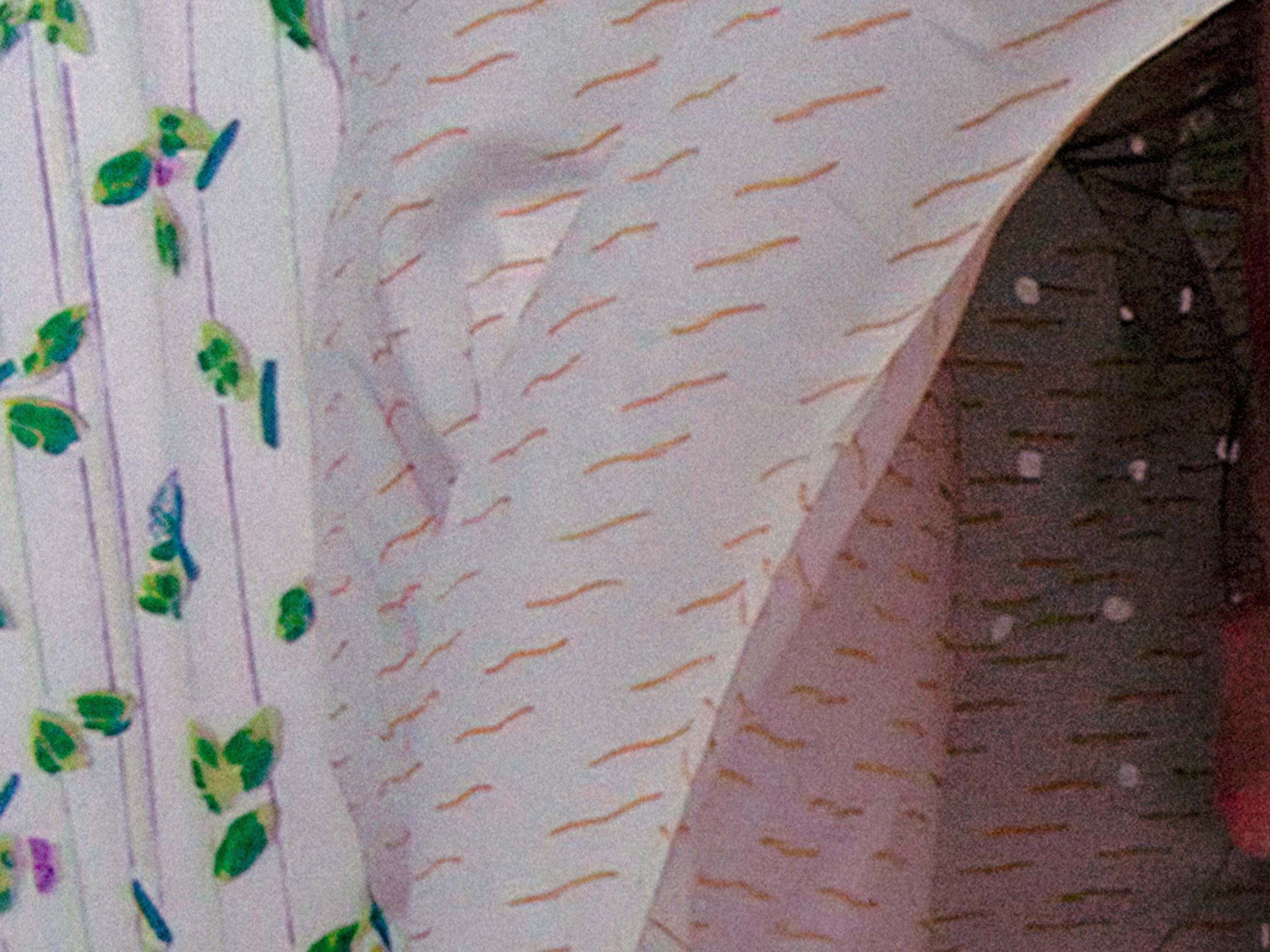 A detail from a photograph by Steven Shearer, titled In a Bonnet, dated 2024.