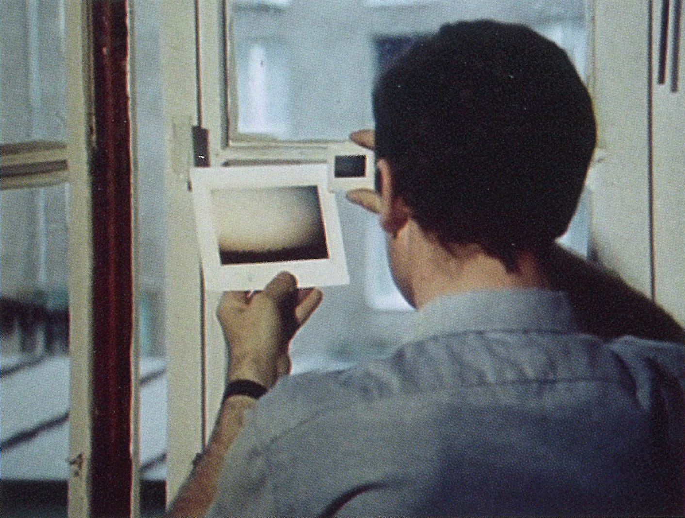 Gerhard Richter: Landschaften | New York: 20th Street | May 7—July