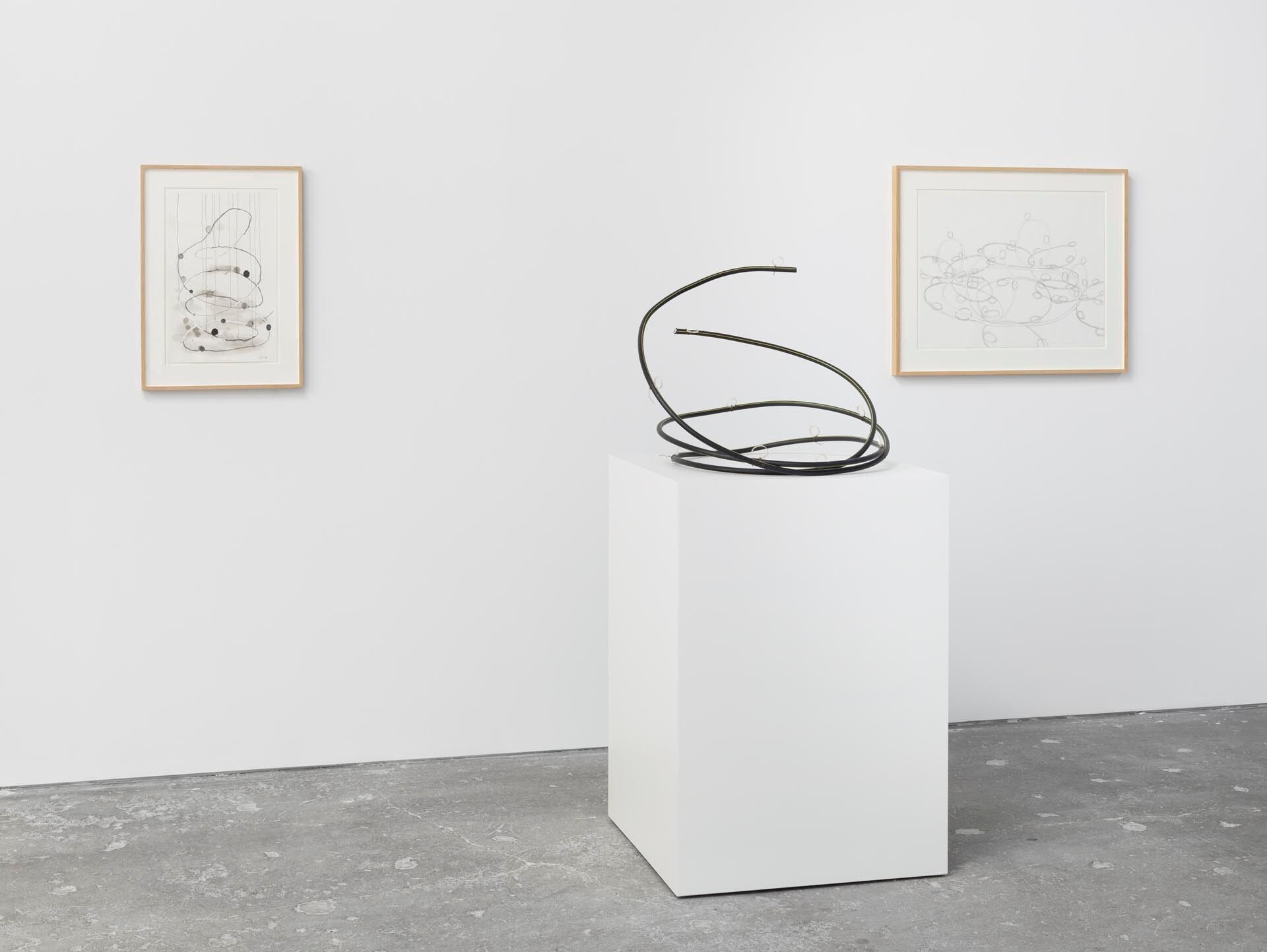 Installation view of the exhibition Al Taylor: Pass the Peas and Can Studys, at David Zwirner in New York, dated 2012.