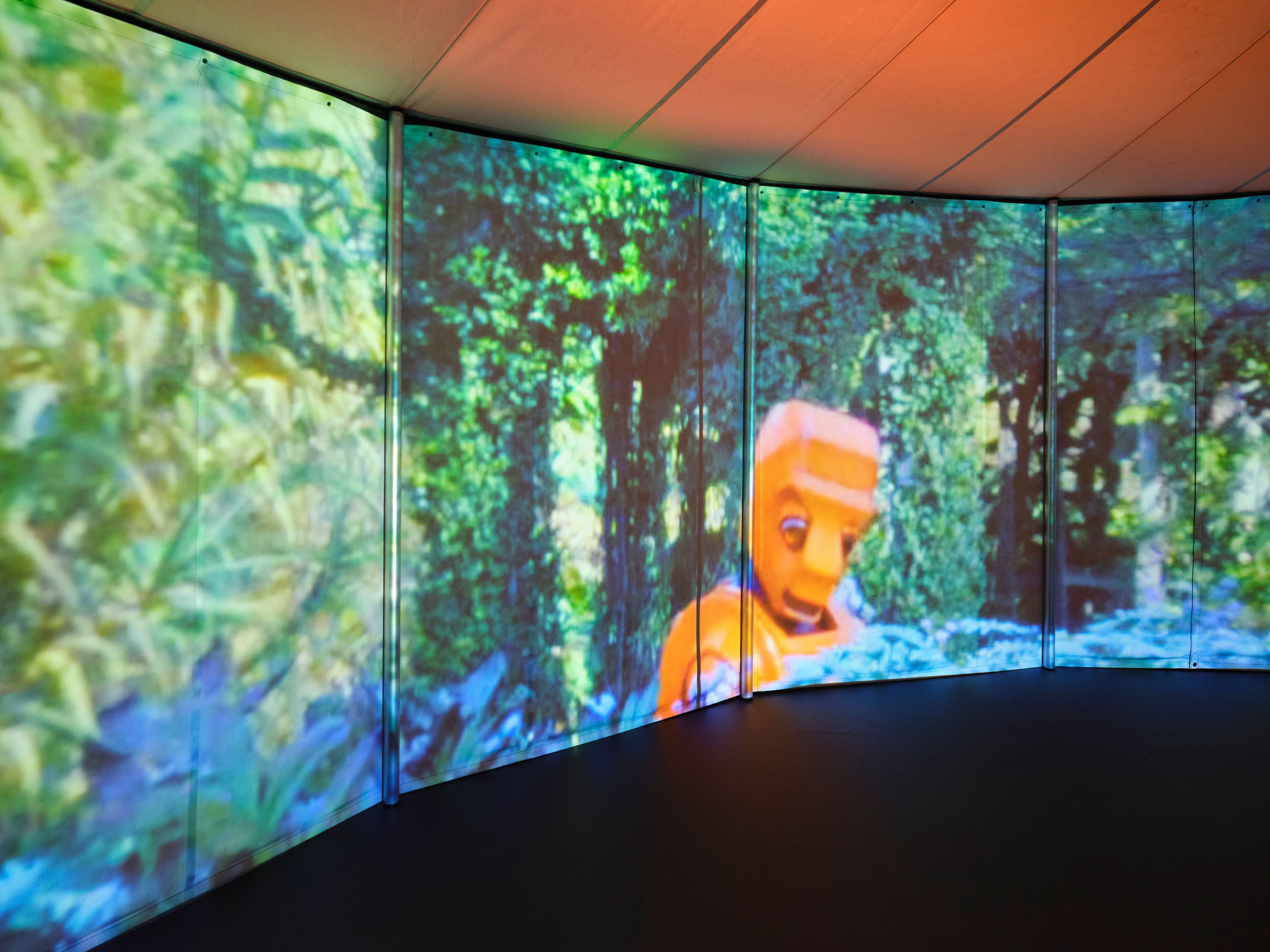 Evidence　Diana Martar　ダイアナ・マーター Diana Thater: Practical Effects | David Zwirner