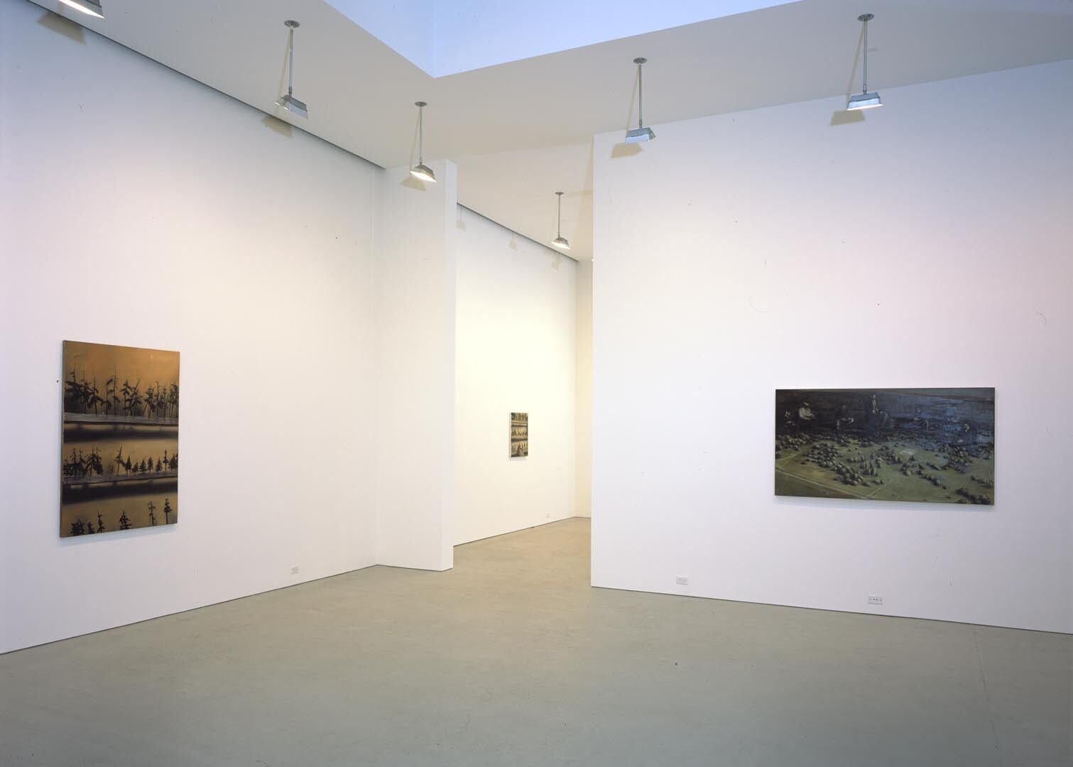 An installation view of the exhibition Michael Borremans: Trickland, at David Zwirner New York, dated 2003.