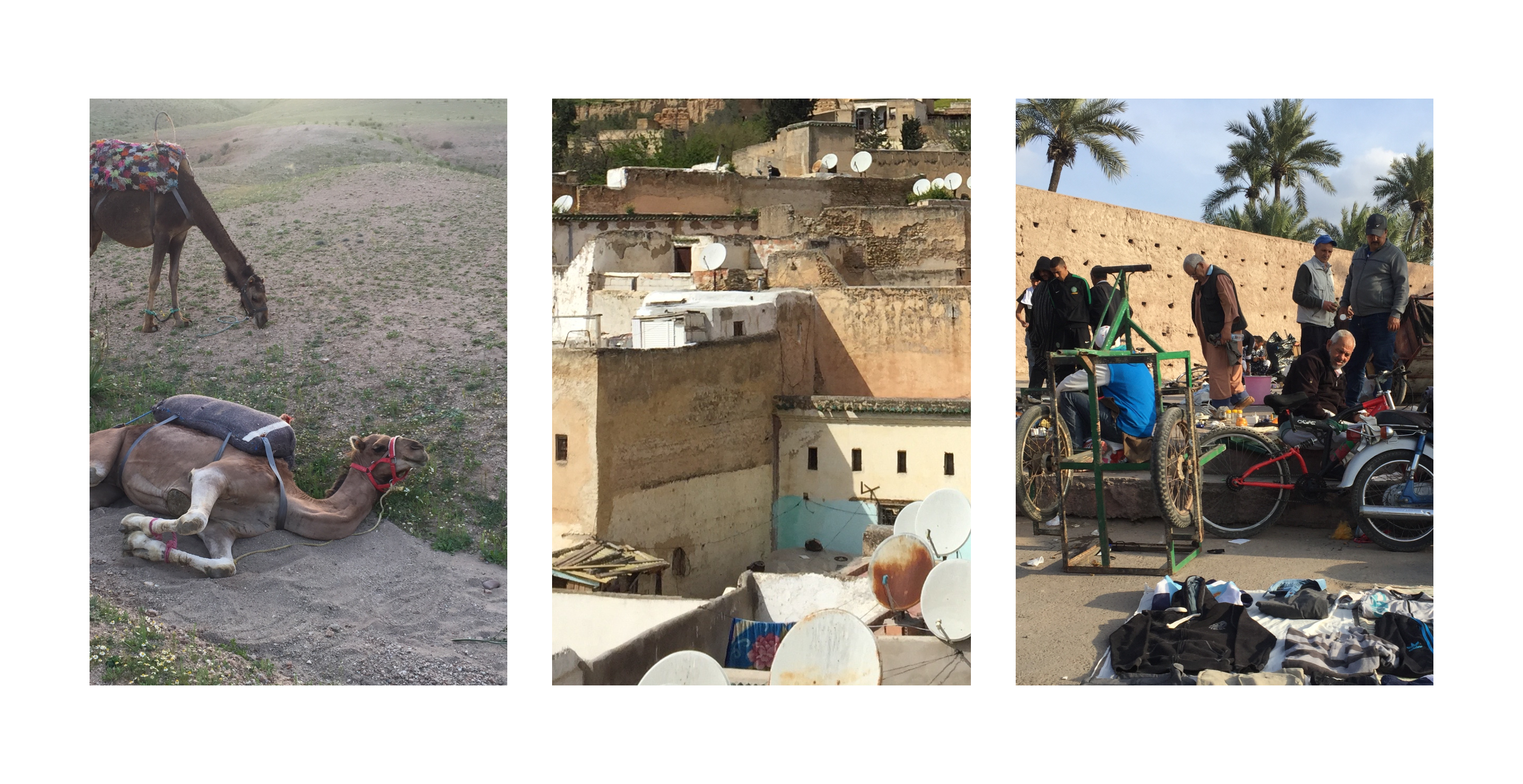 A triptych featuring travel photographs by Marcel Dzama, dated 2018-20